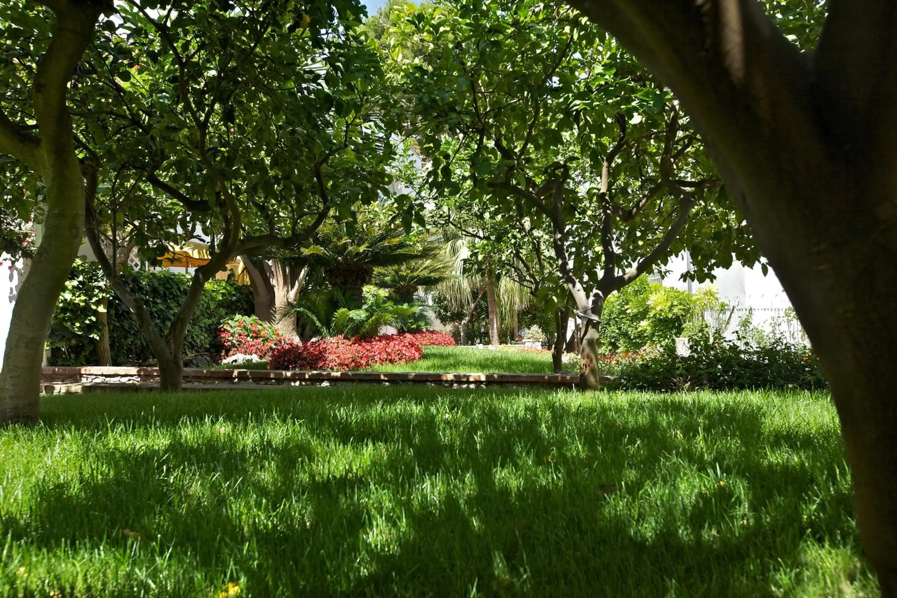 Garden in Hotel San Felice