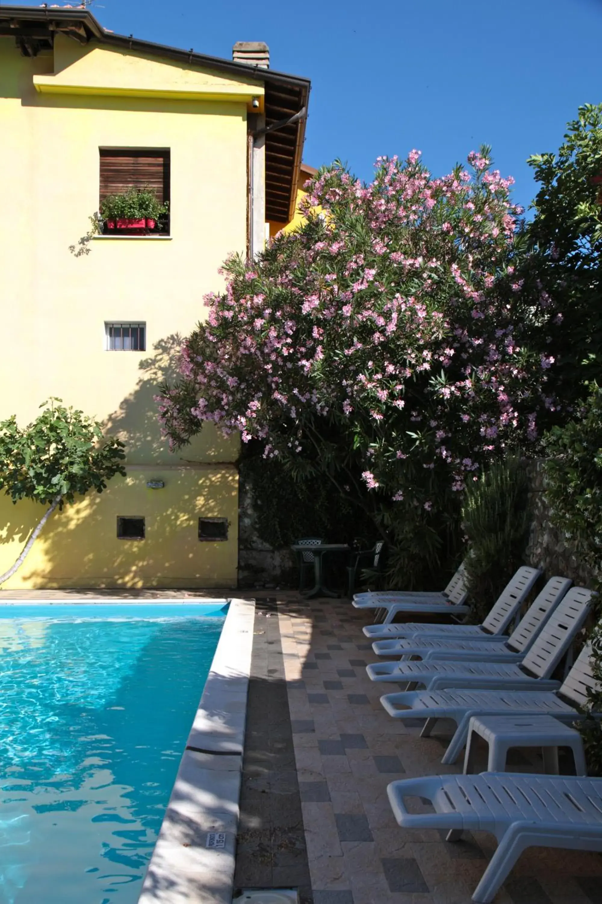 Swimming Pool in Hotel San Filis