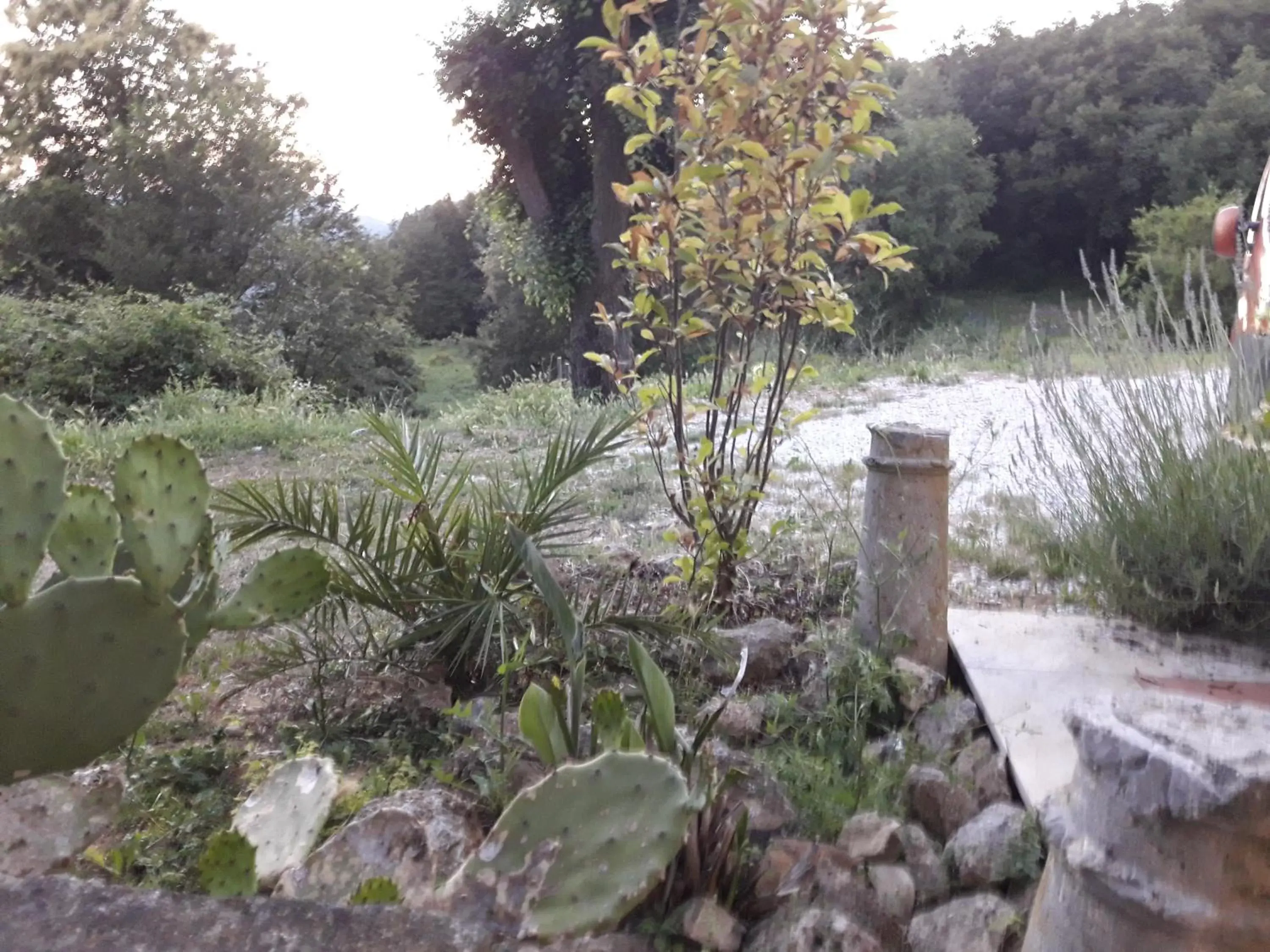 Natural Landscape in Il Nido Del Cuculo
