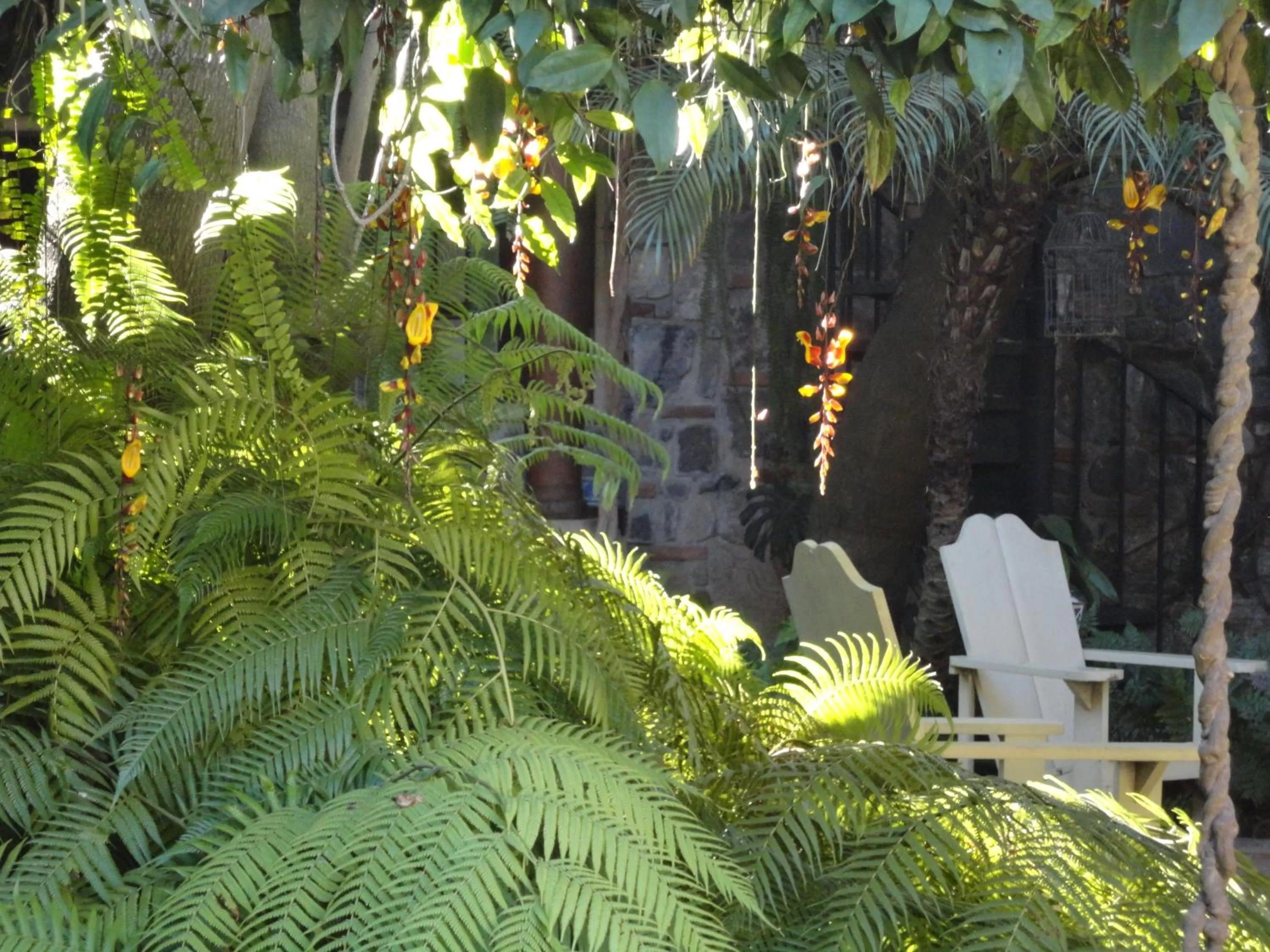 Garden in Cissus Hotel Boutique