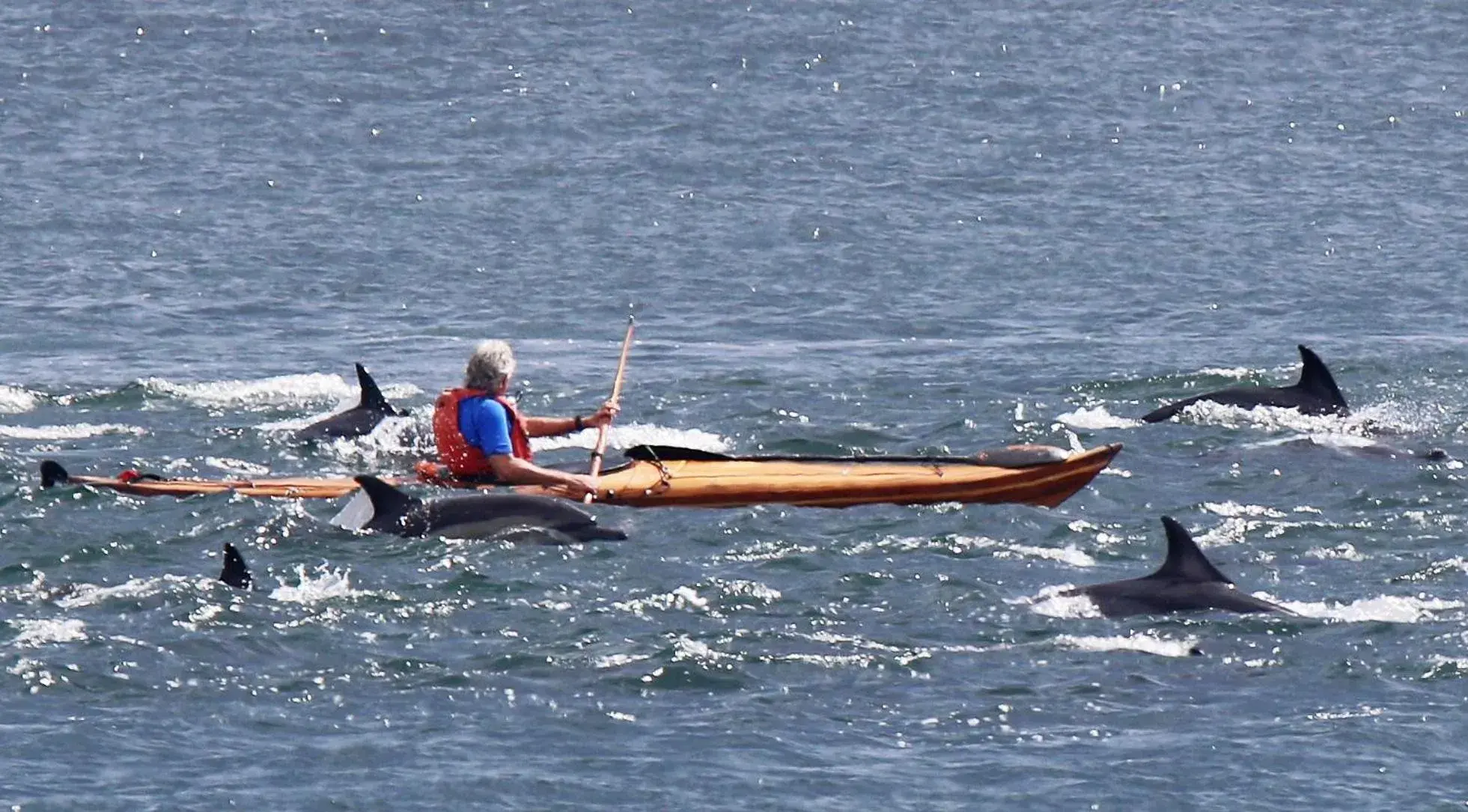 Off site, Canoeing in Dolphin Inn Guesthouse