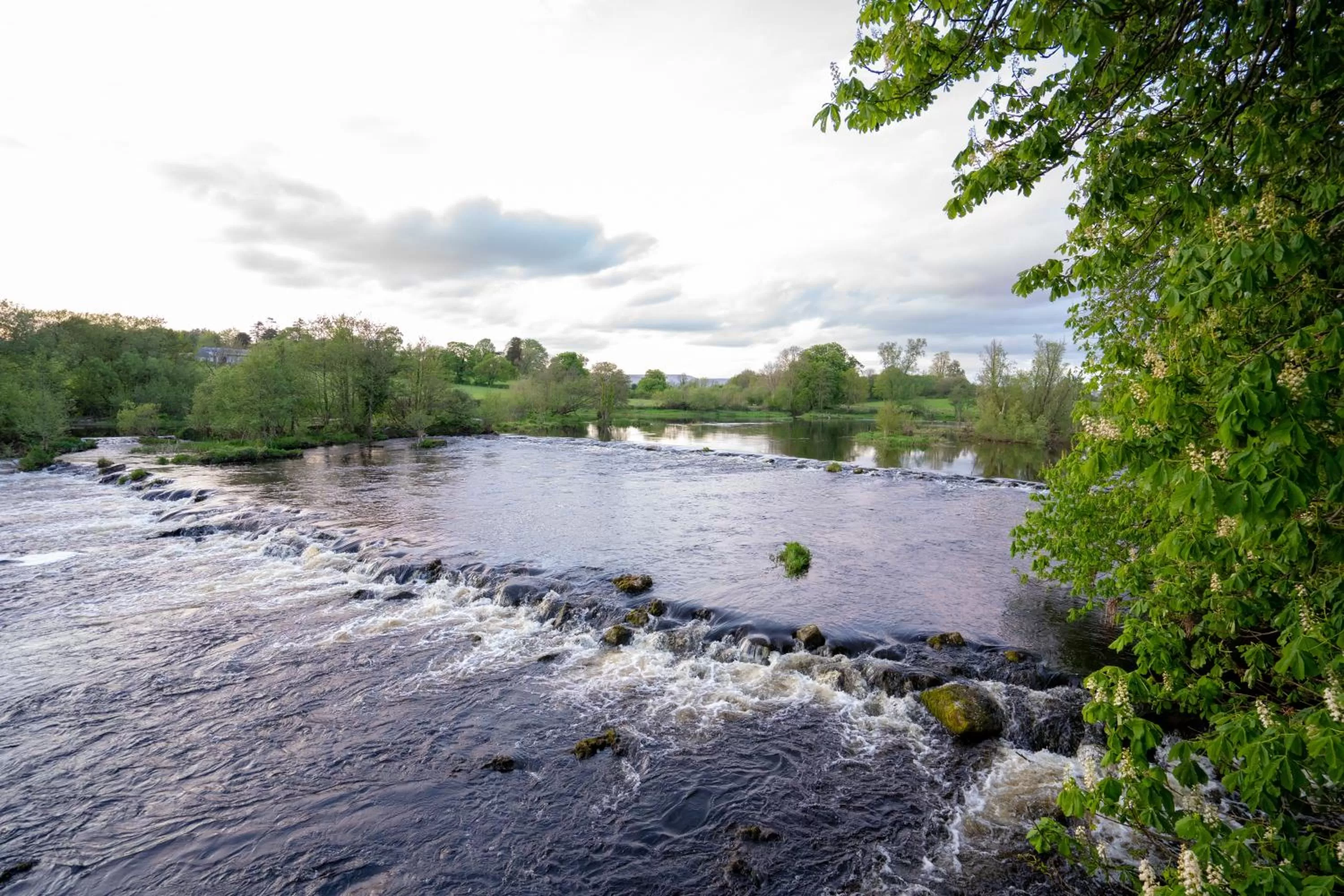 Natural landscape in Castle Oaks House Hotel
