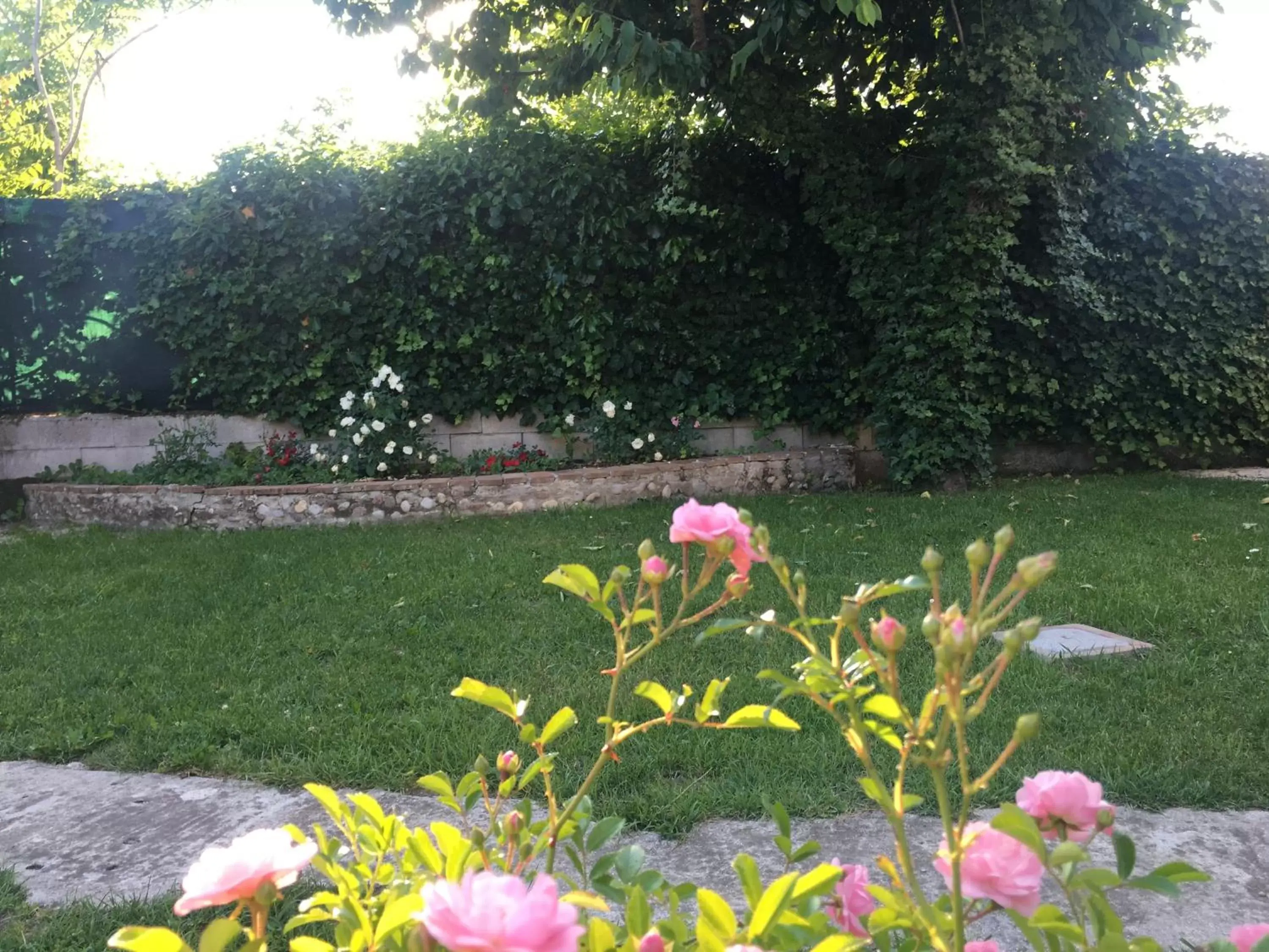 Garden in Ca' Le Rose