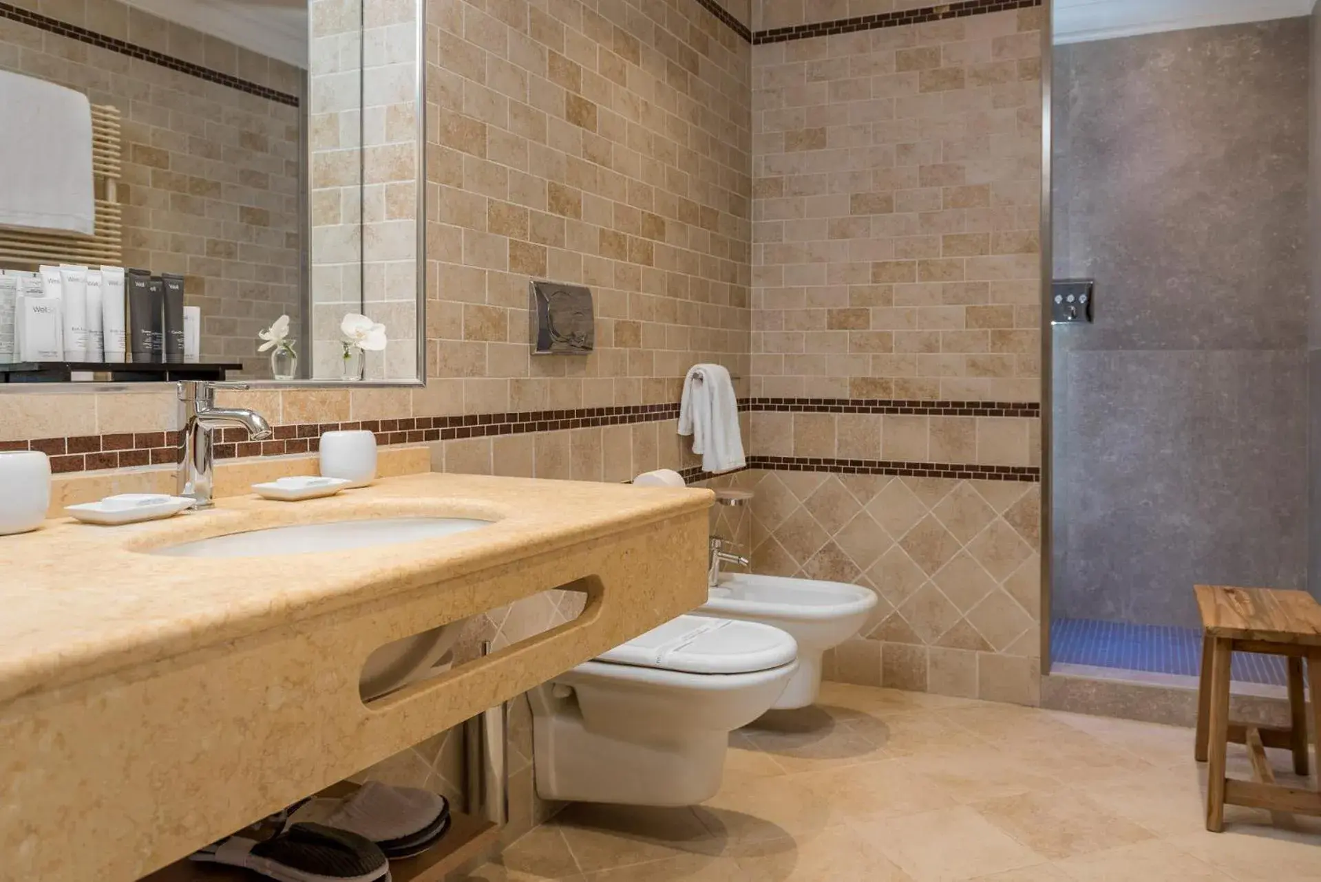 Shower, Bathroom in Esplanade Tergesteo - Luxury Retreat