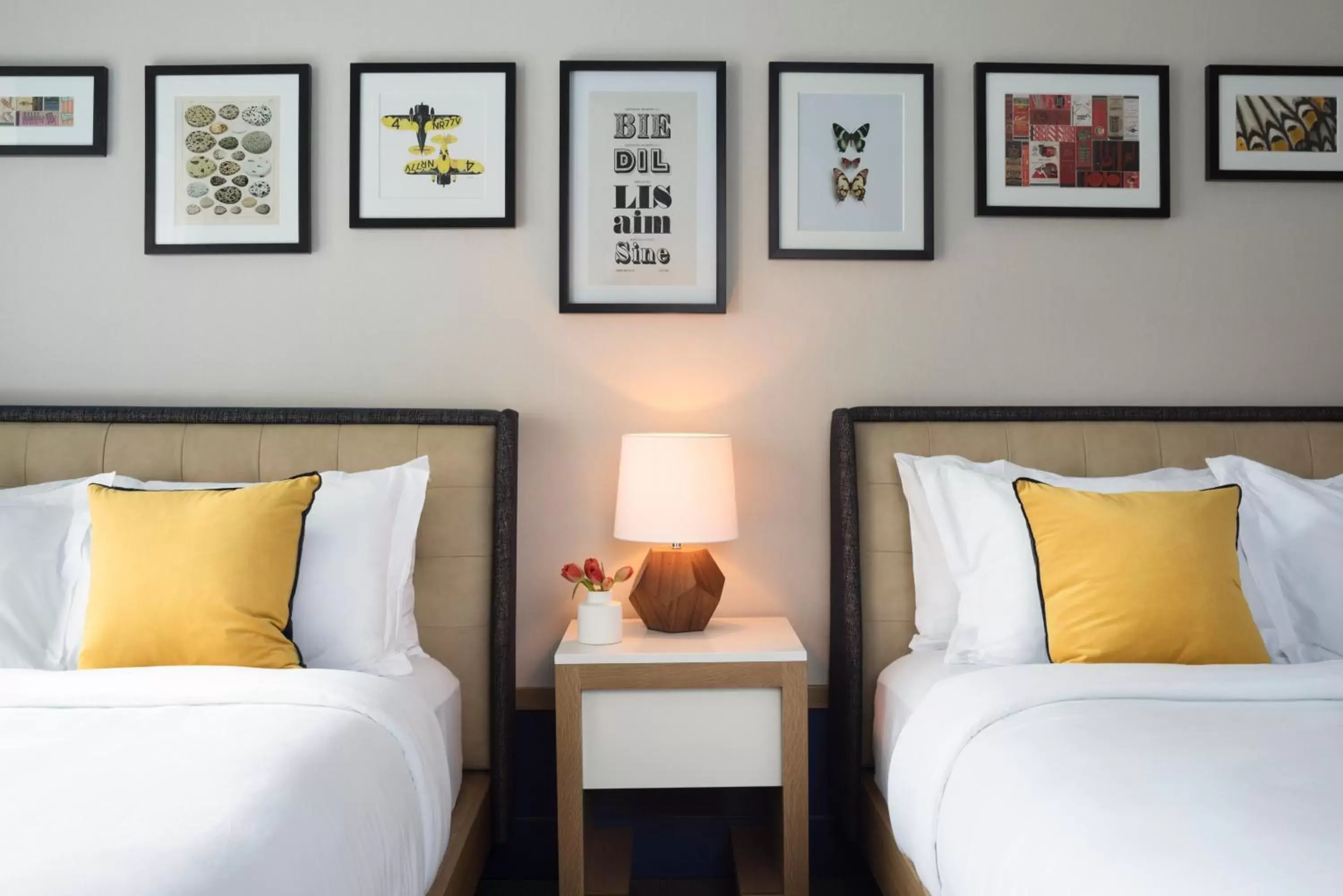 Queen Room with Two Queen Beds and Mobility Accessible Tub in Kimpton Schofield Hotel, an IHG Hotel Queen Room with Two Queen Beds and Mobility Accessible Tub in Kimpton Schofield Hotel, an IHG Hotel