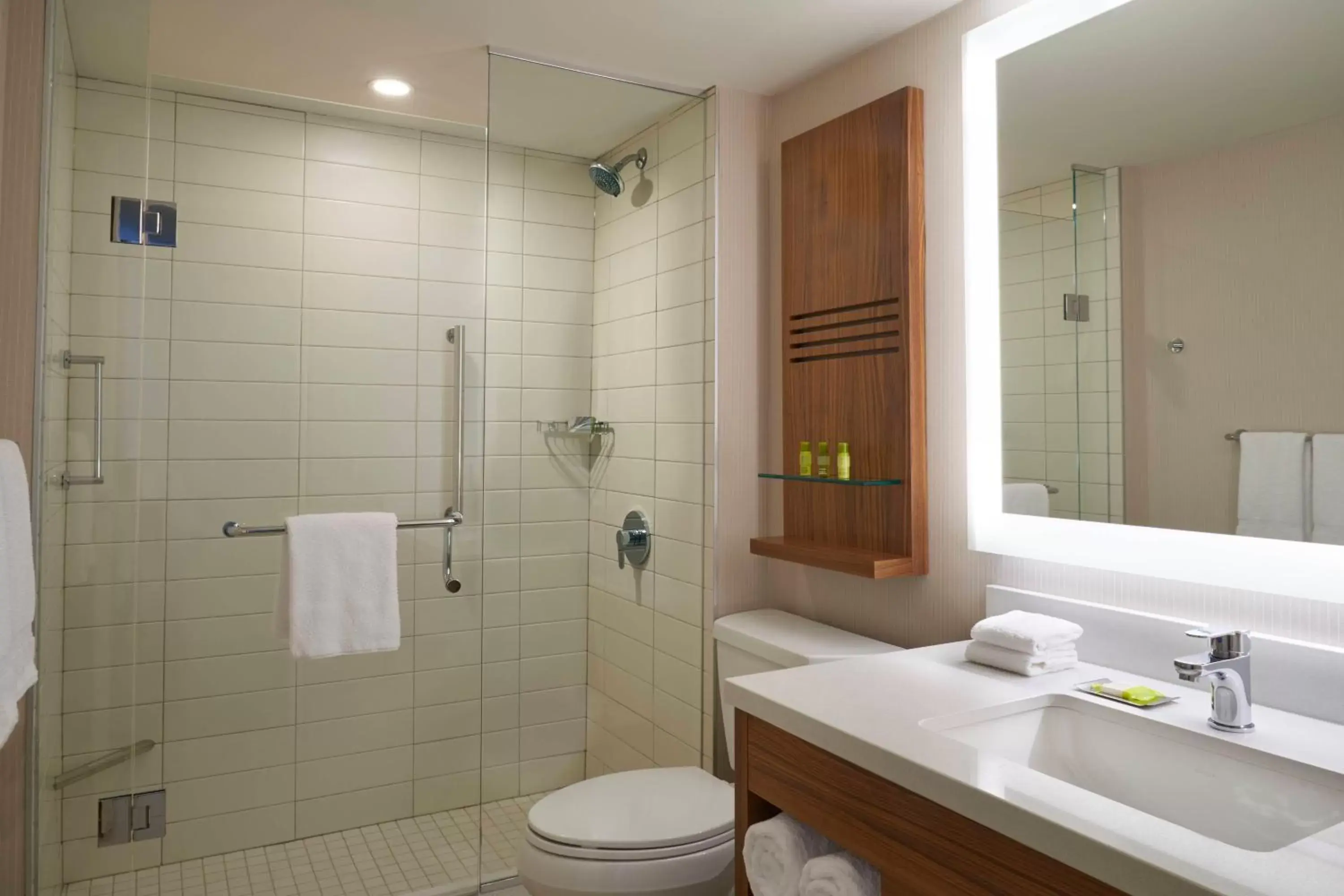 Bathroom in Delta Hotels by Marriott Toronto Airport & Conference Centre