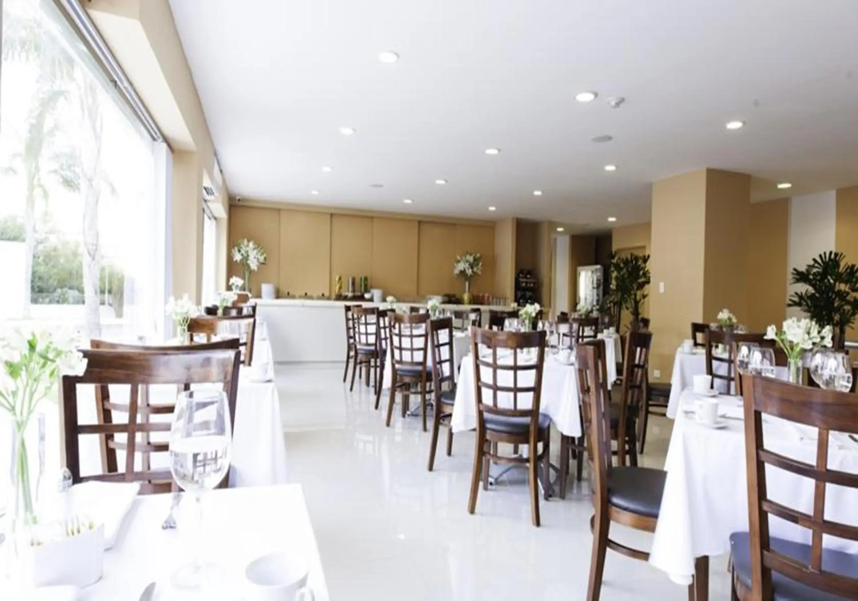 Restaurant/places to eat in Mision Express Merida Altabrisa Restaurant/places to eat in Mision Express Merida Altabrisa