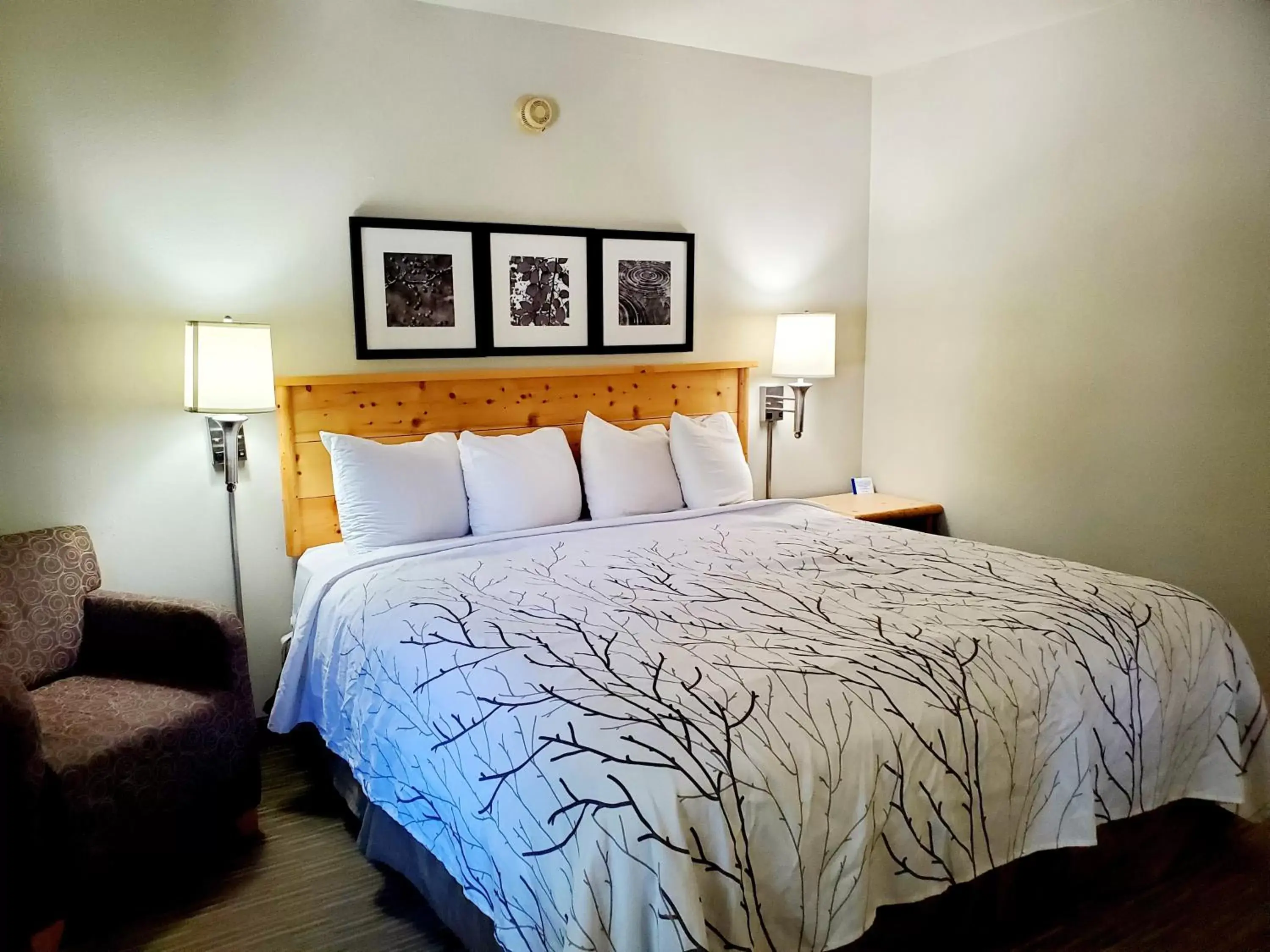 Bed in Days Inn and Suites by Wyndham Downtown Missoula-University