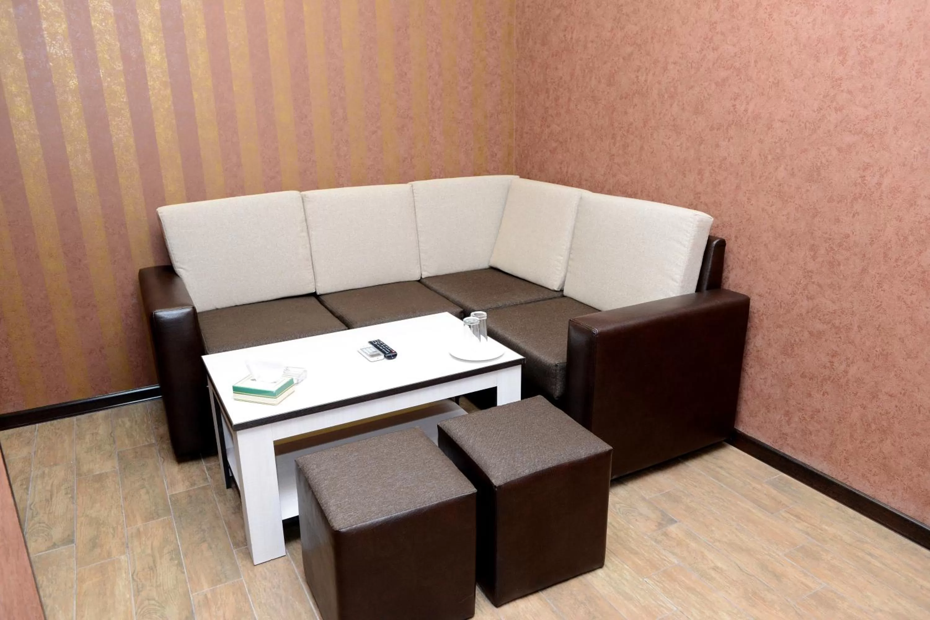 Seating Area in Eridana Hotel