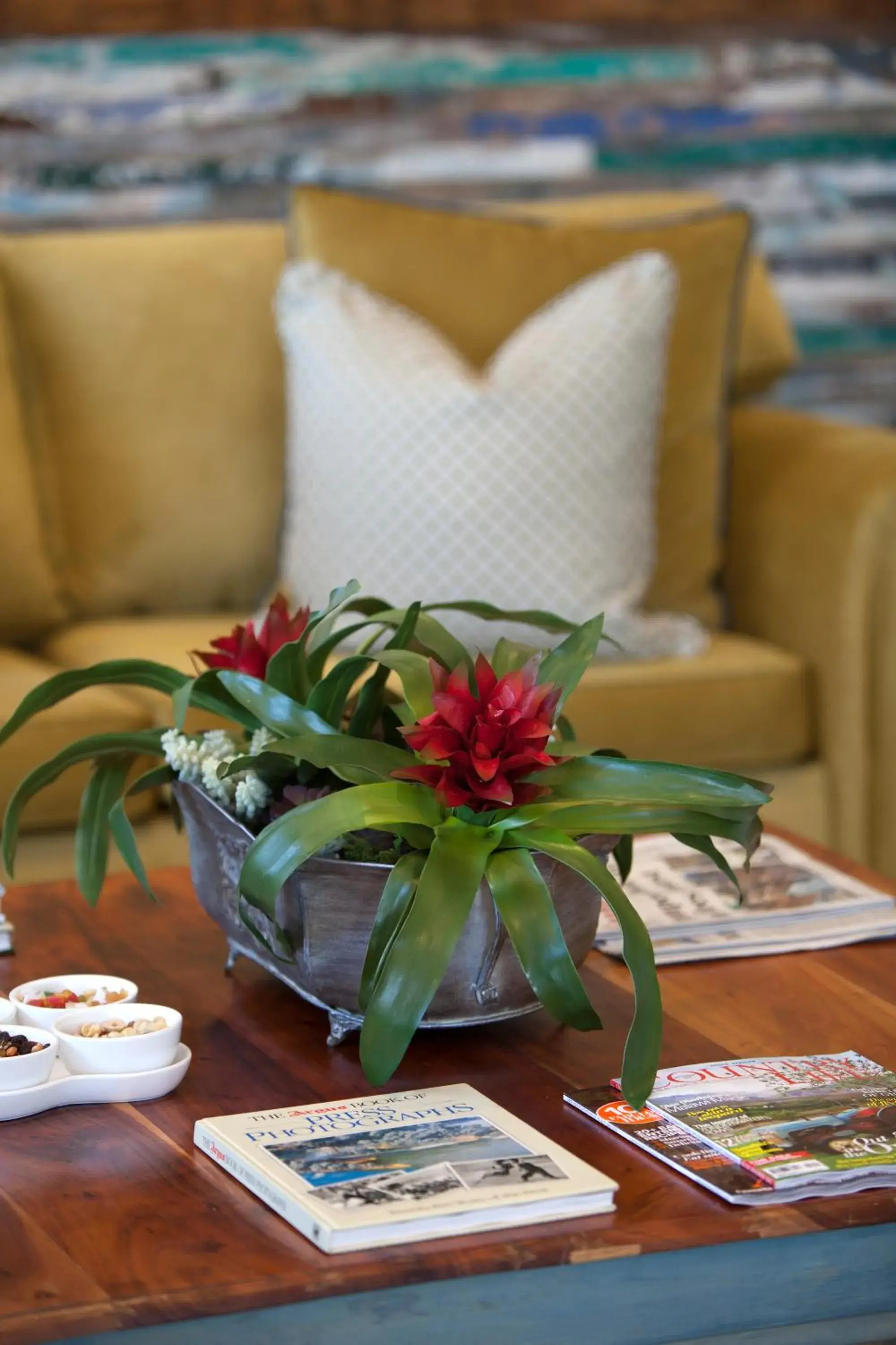 Communal lounge/ TV room, Seating Area in Hermanus Boutique Guest House