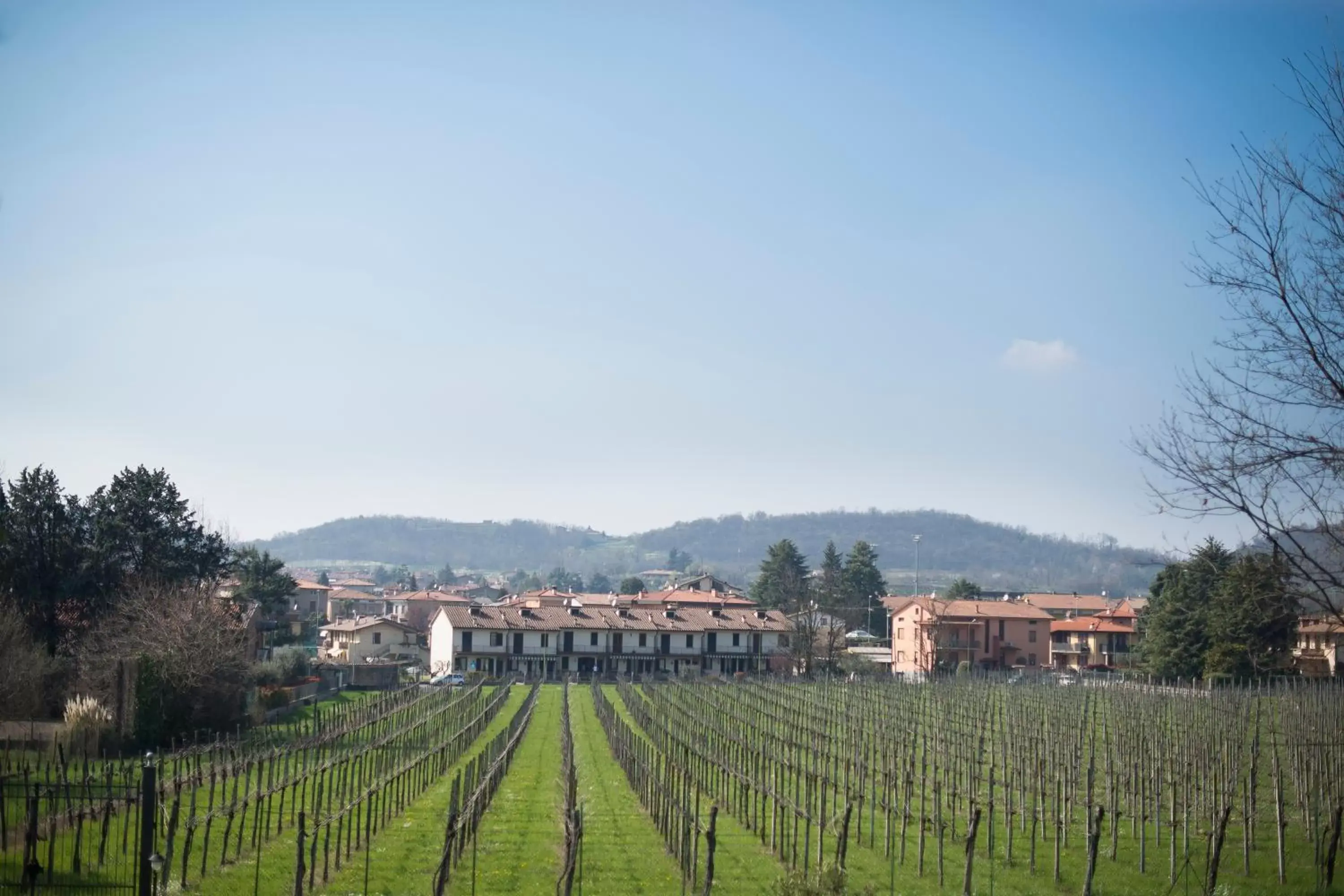 Garden view in Villa Franca in Franciacorta