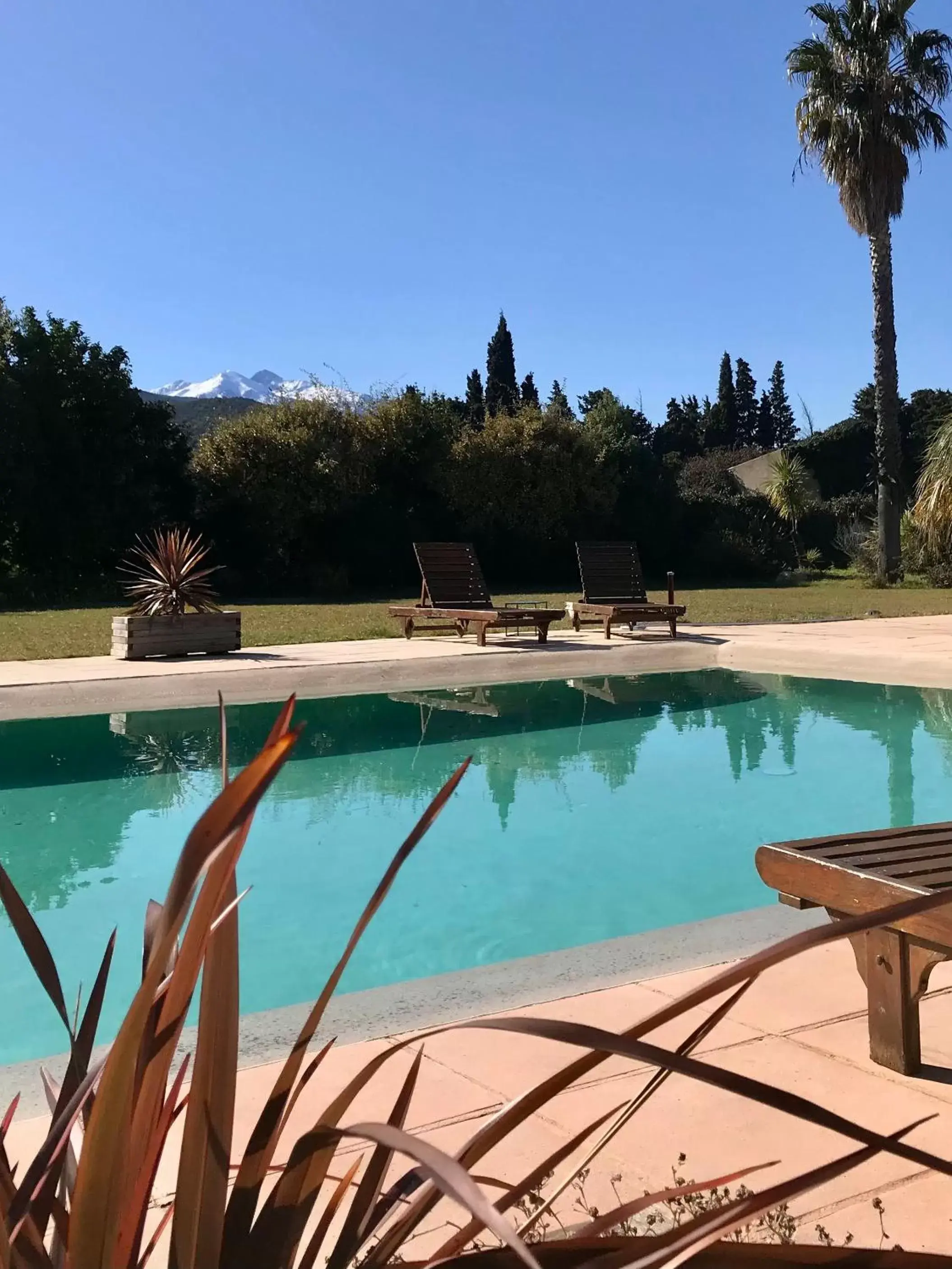 Spring, Swimming Pool in MAS TRAMONTANE chambres d'hôtes avec parc arboré & piscine