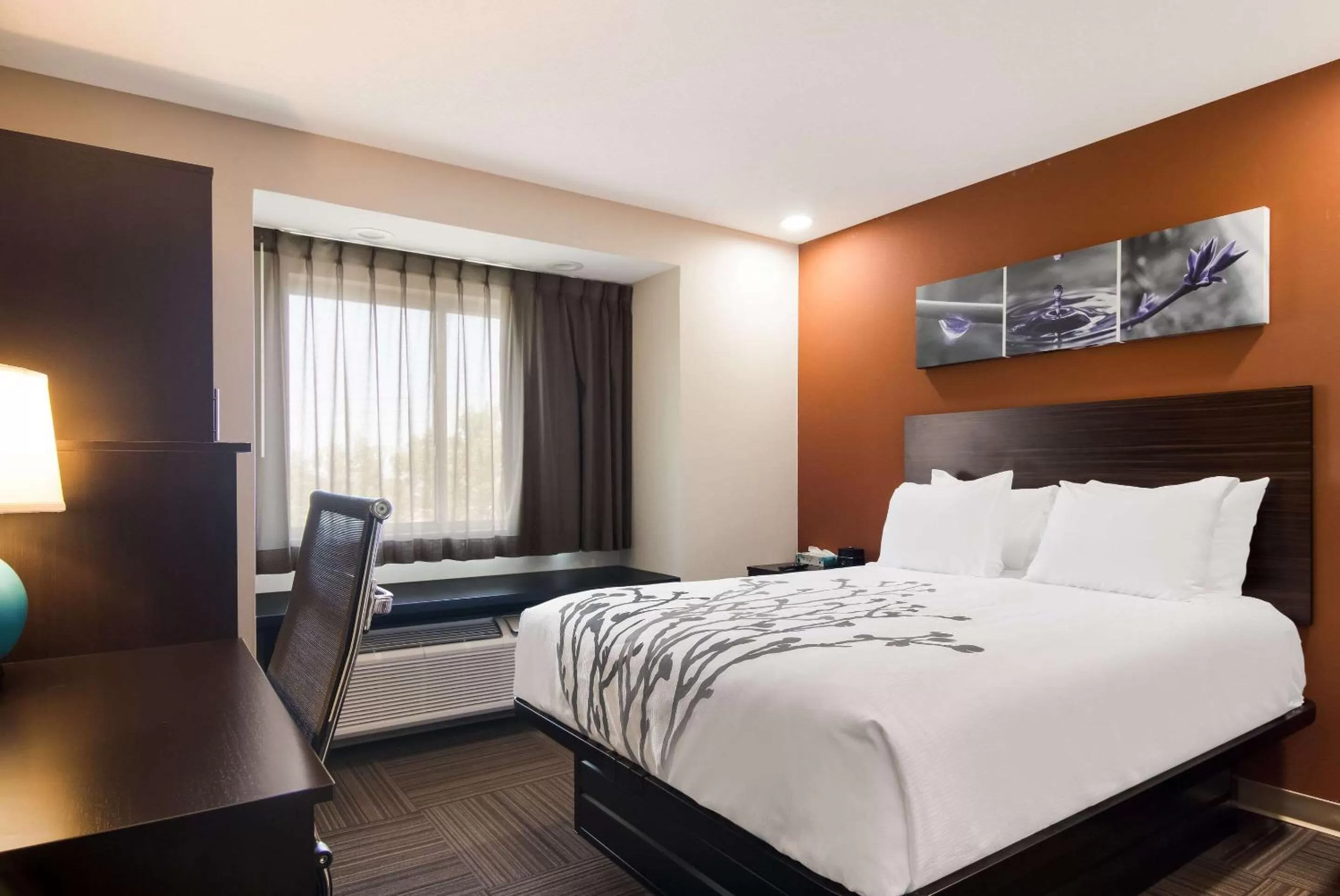 Bedroom, Bed in Sleep Inn Erie near Sports Center