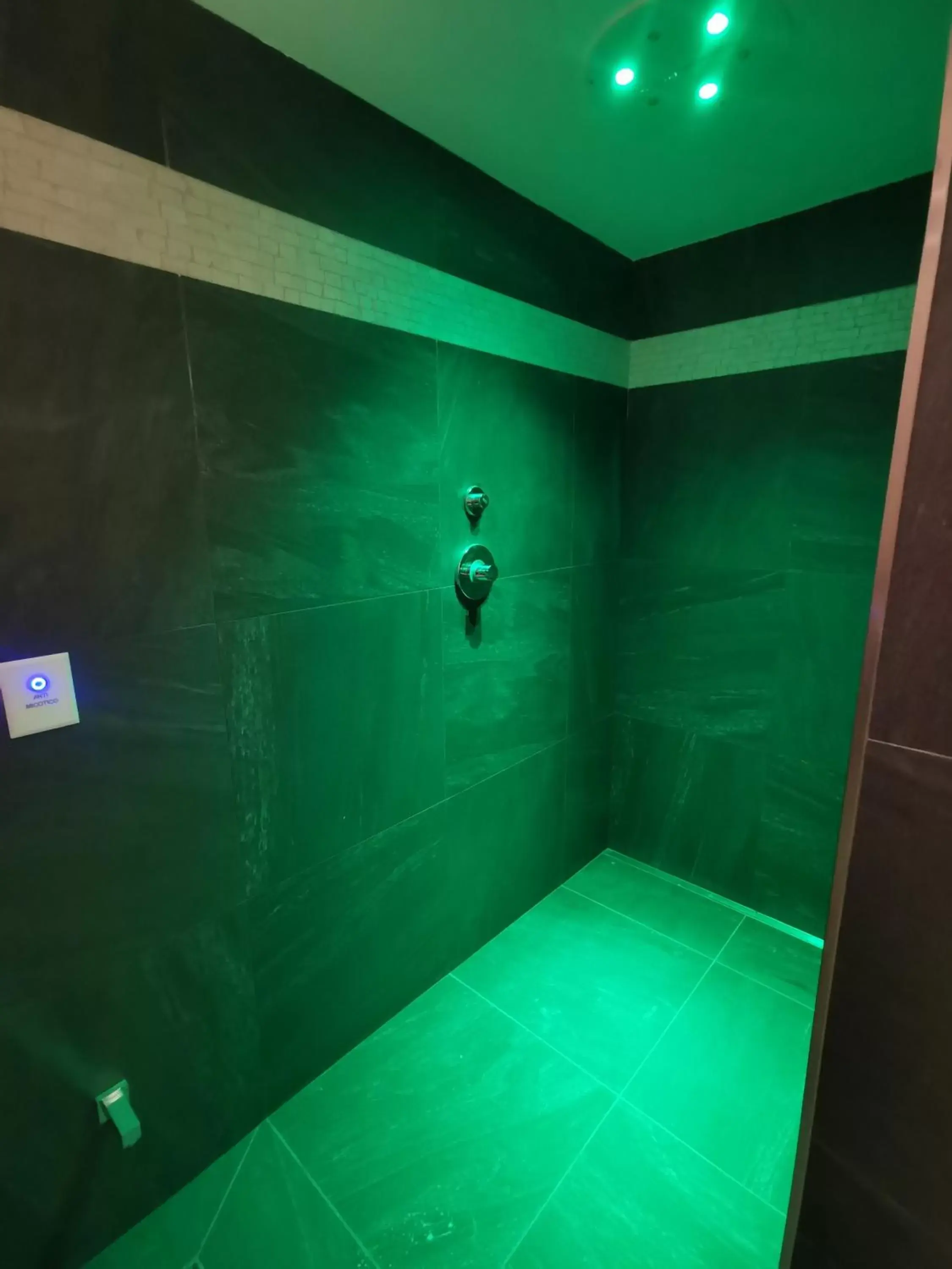 Spa and wellness centre/facilities, Bathroom in Panorama Hotel Fontanella