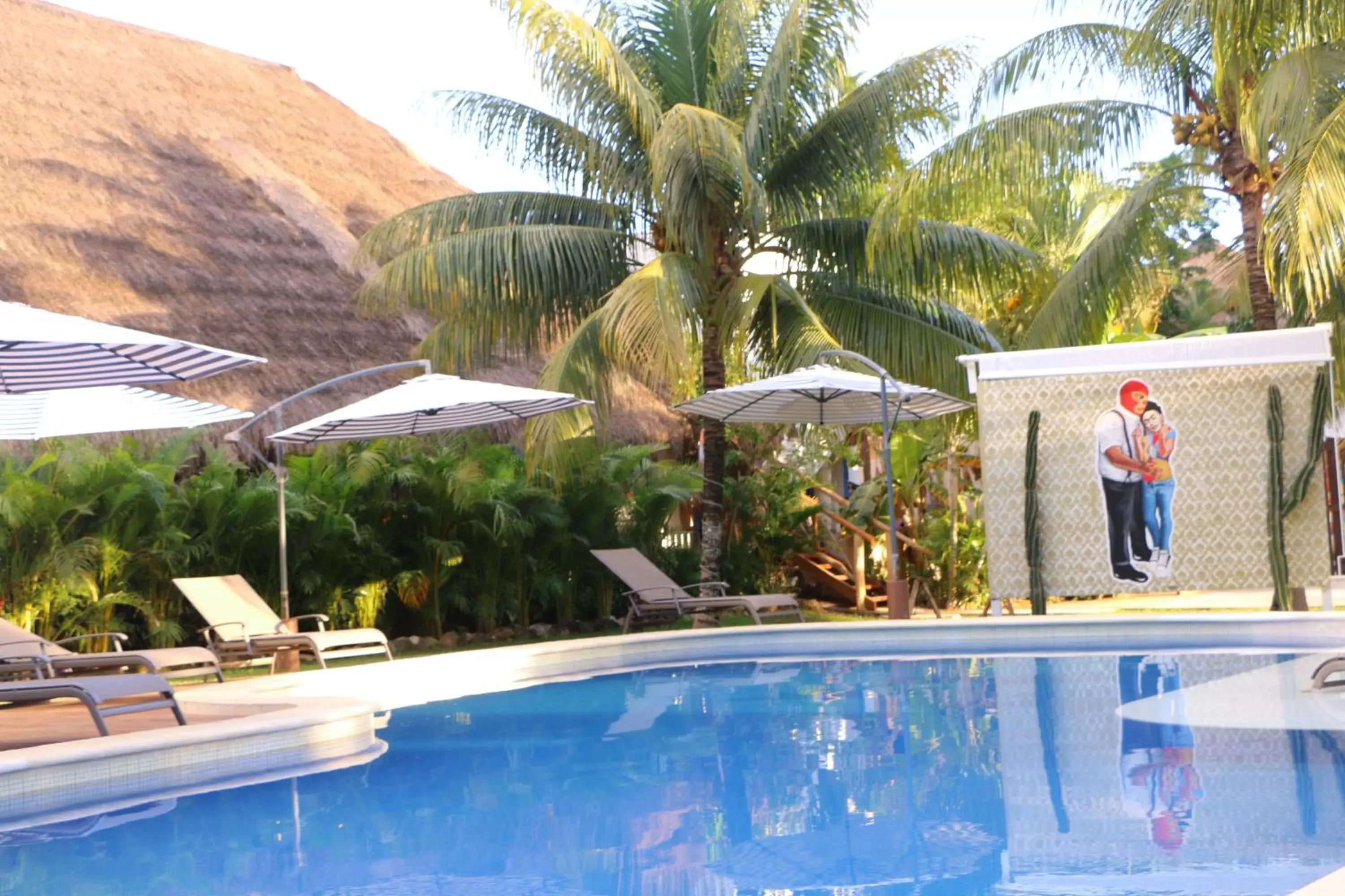 Animals, Swimming Pool in WishTulum