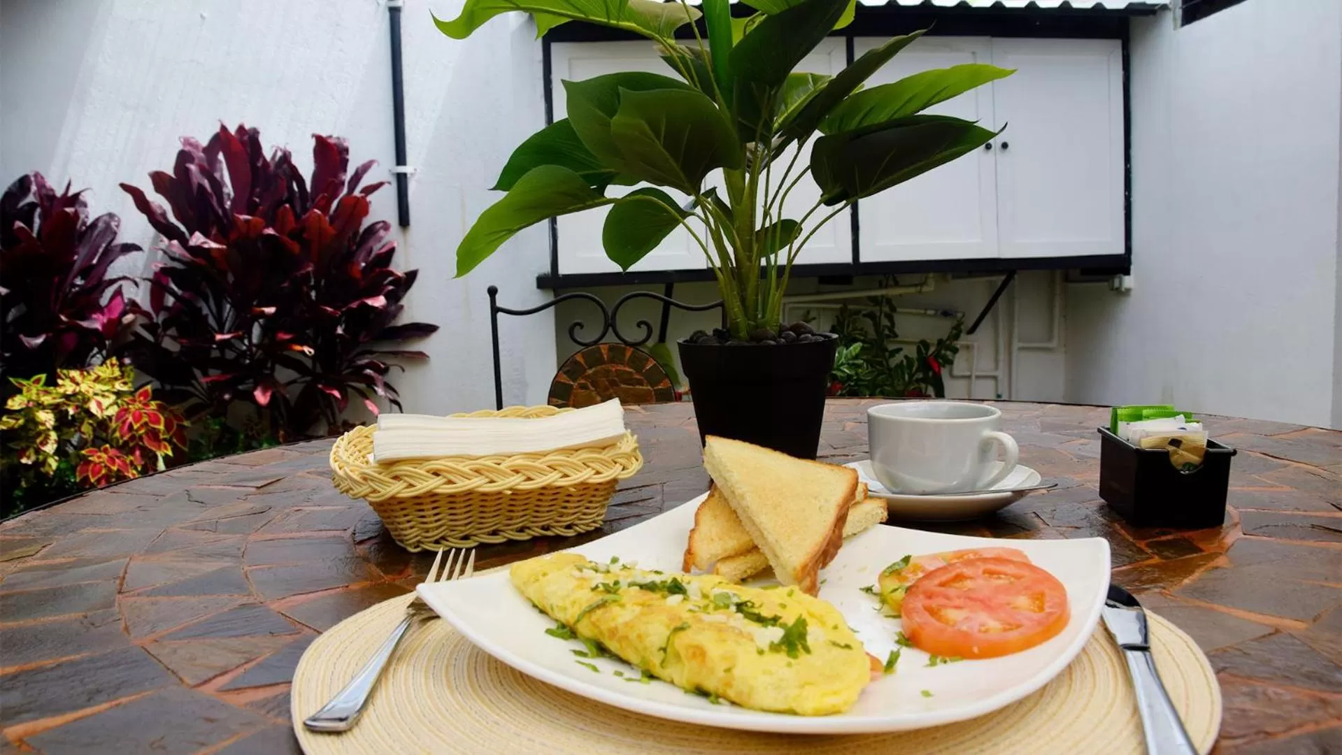 Food in Trebol Amarillo Bed & Breakfast