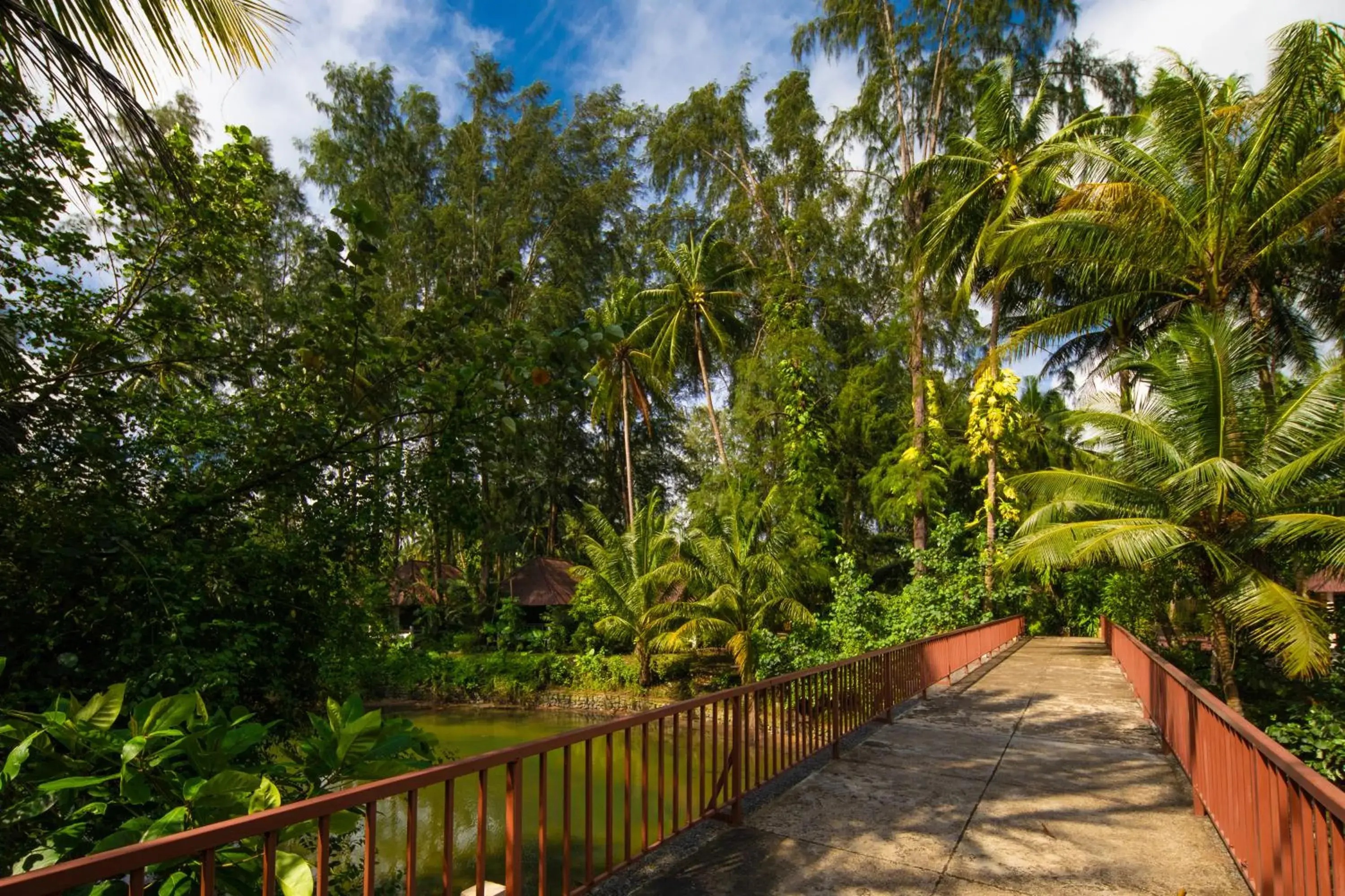 View (from property/room) in Haadson Resort - Khaolak, Phangnga