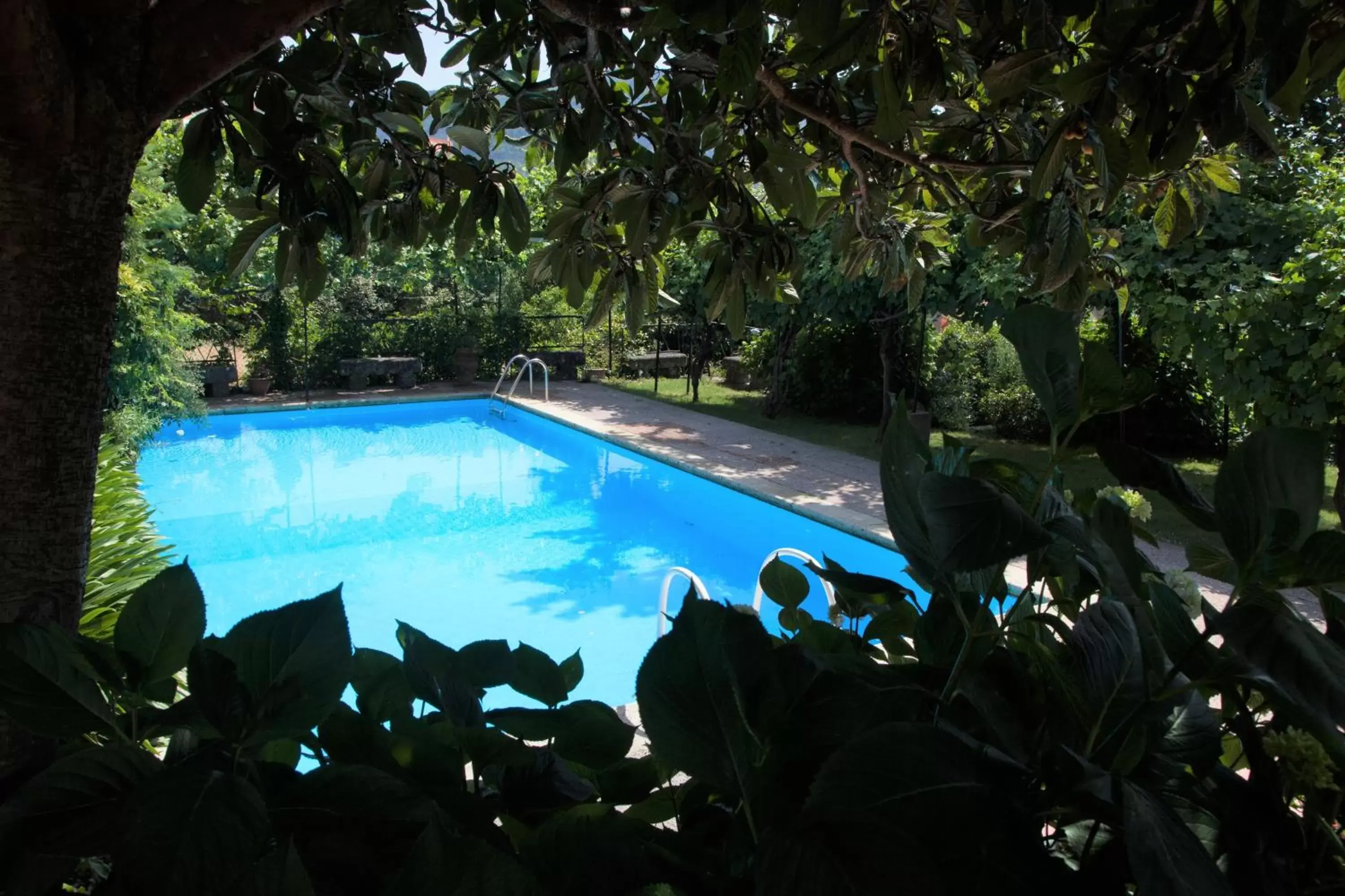 Natural landscape, Swimming Pool in Casa Das Obras