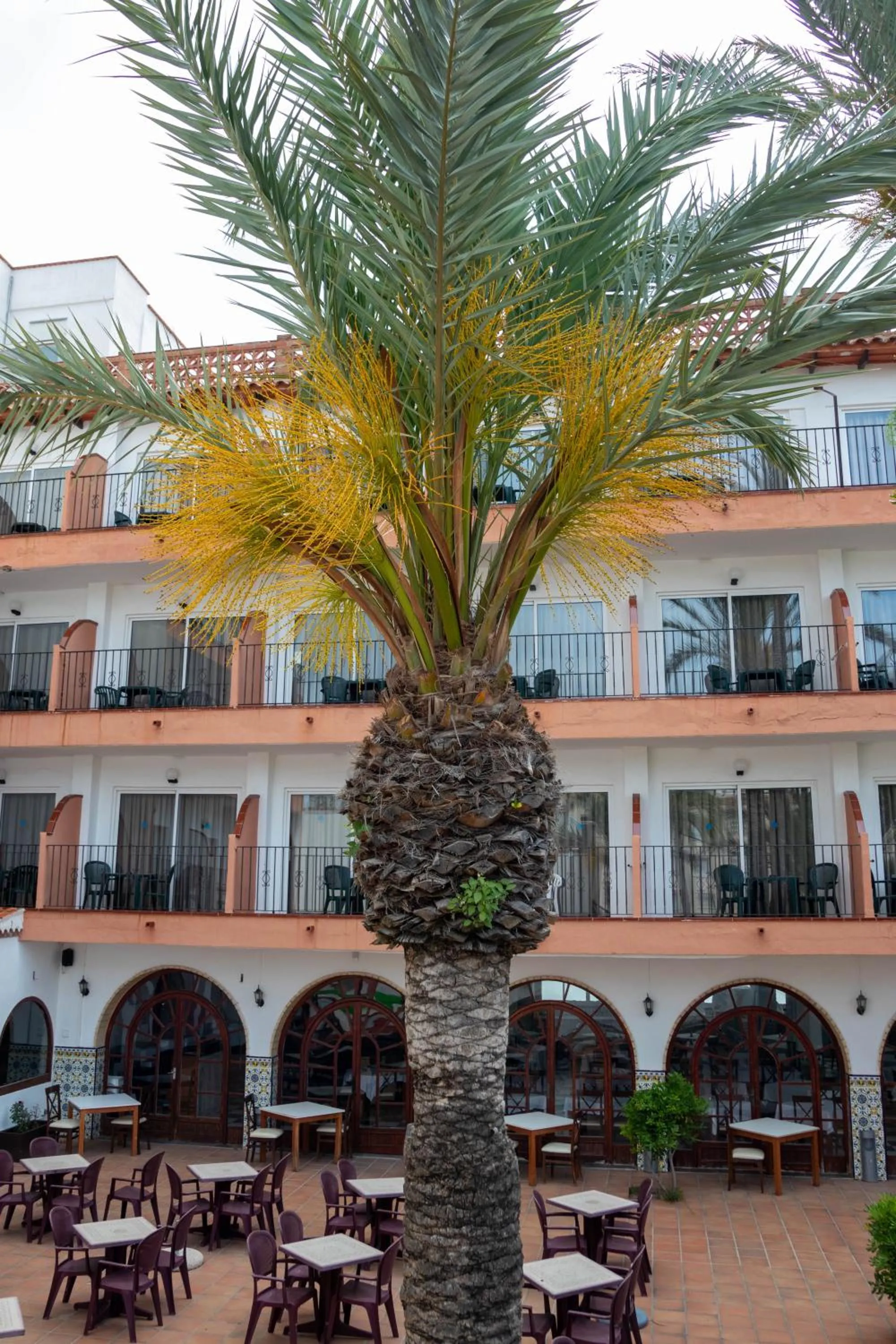 Property building in Hotel Comarruga Platja