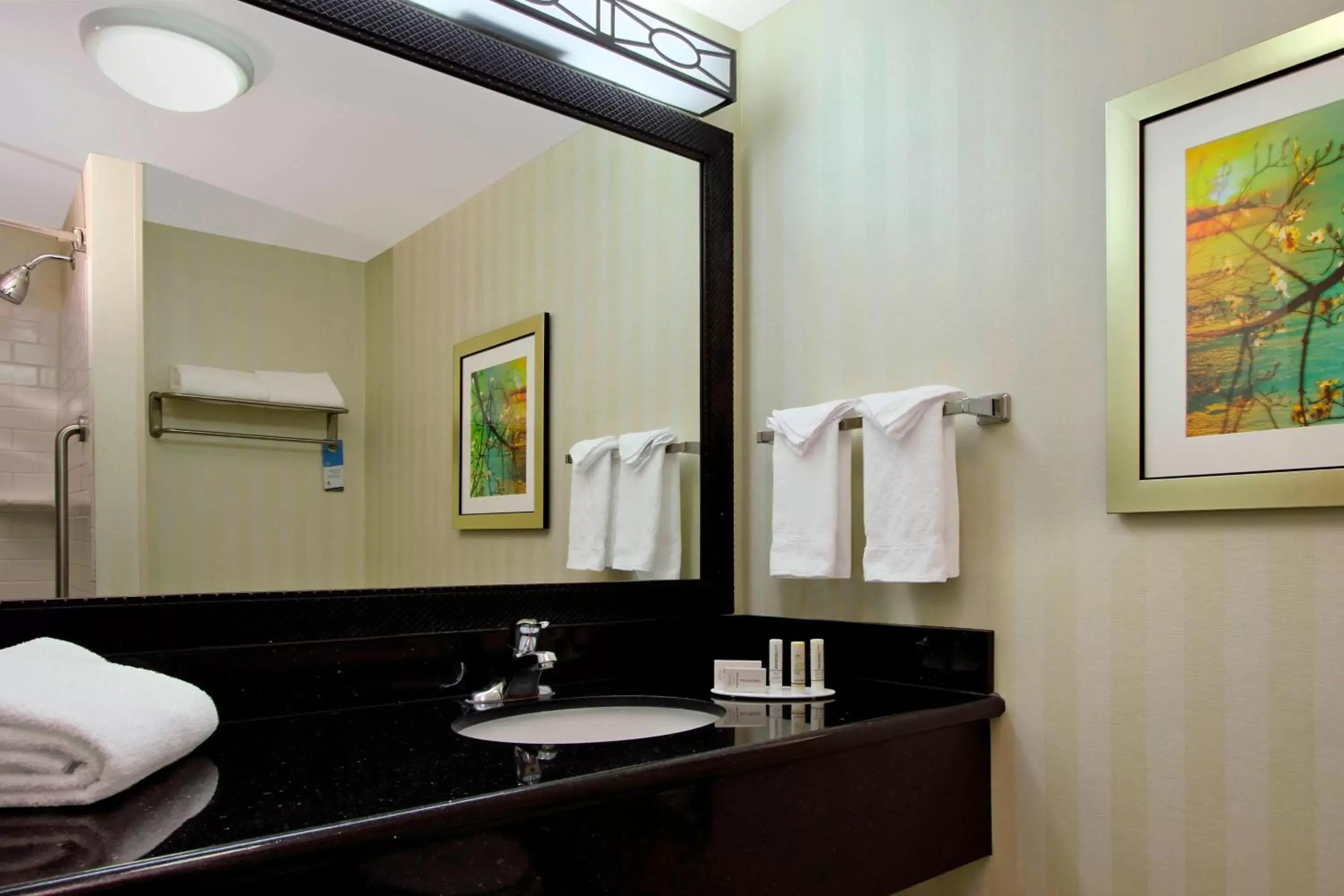 Bathroom in Fairfield Inn & Suites Fresno Clovis