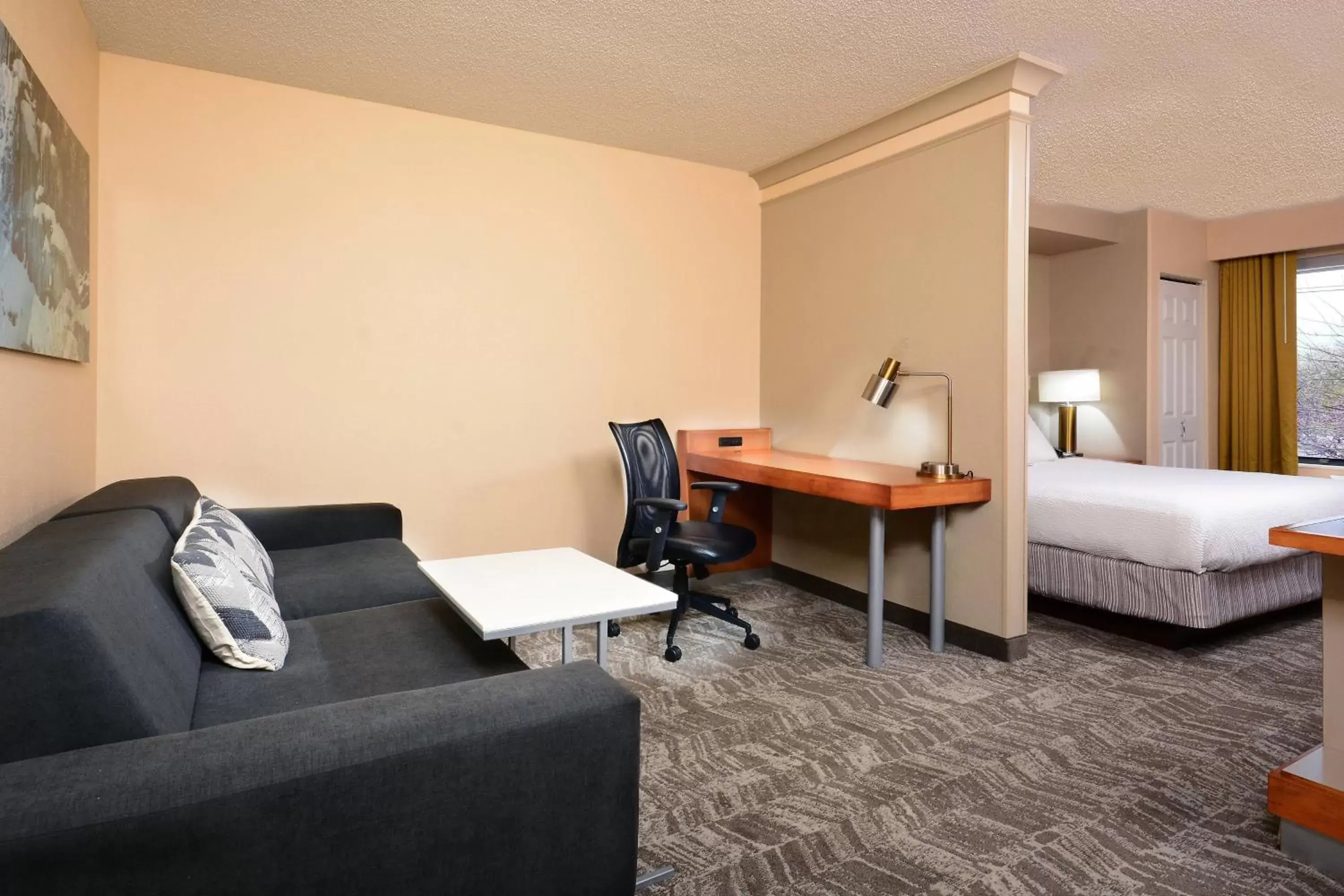 Living room, Seating Area in SpringHill Suites by Marriott Lynchburg Airport/University Area