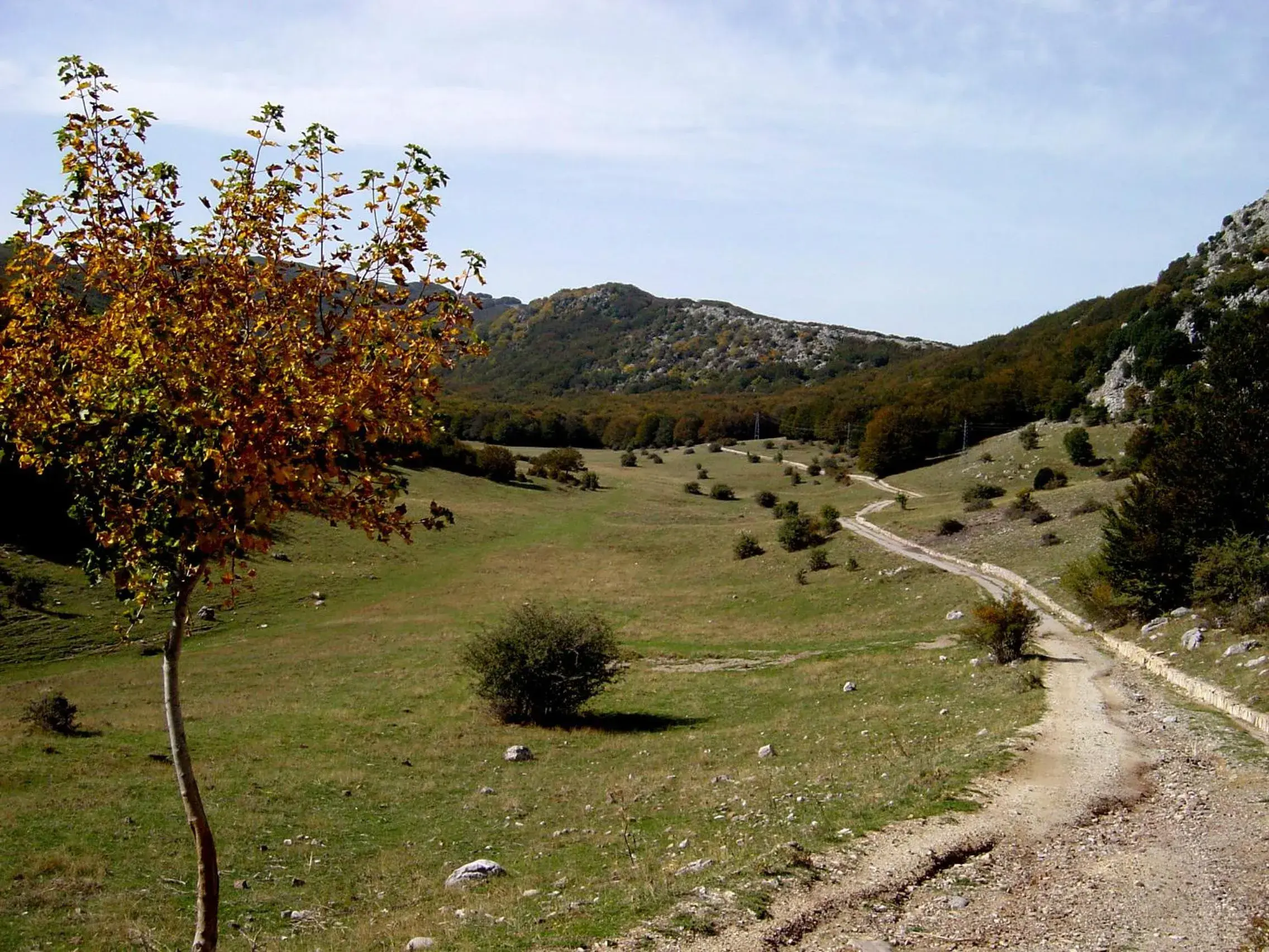 Hiking in Hotel Residenza Petra