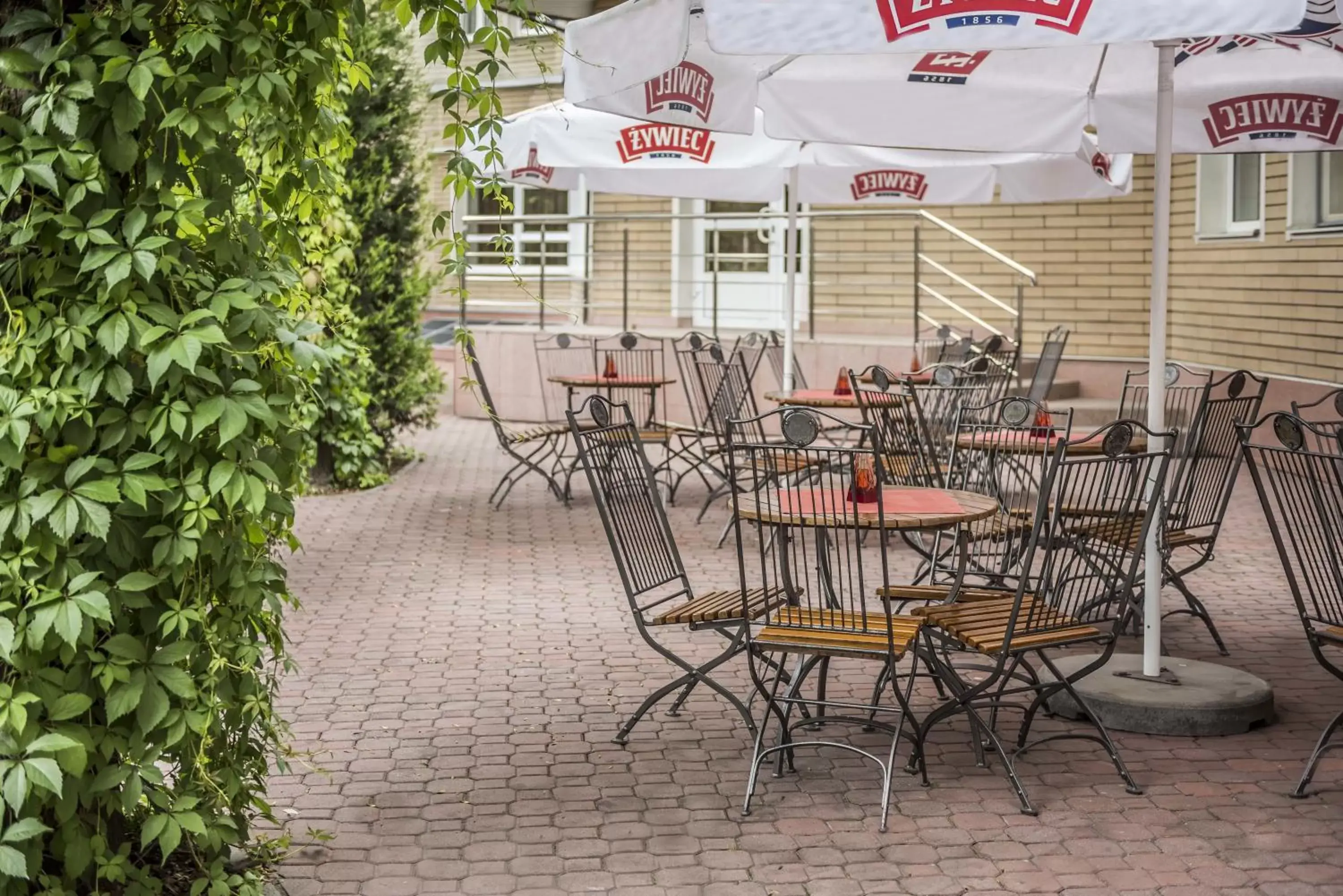 Patio in Hotel Justyna