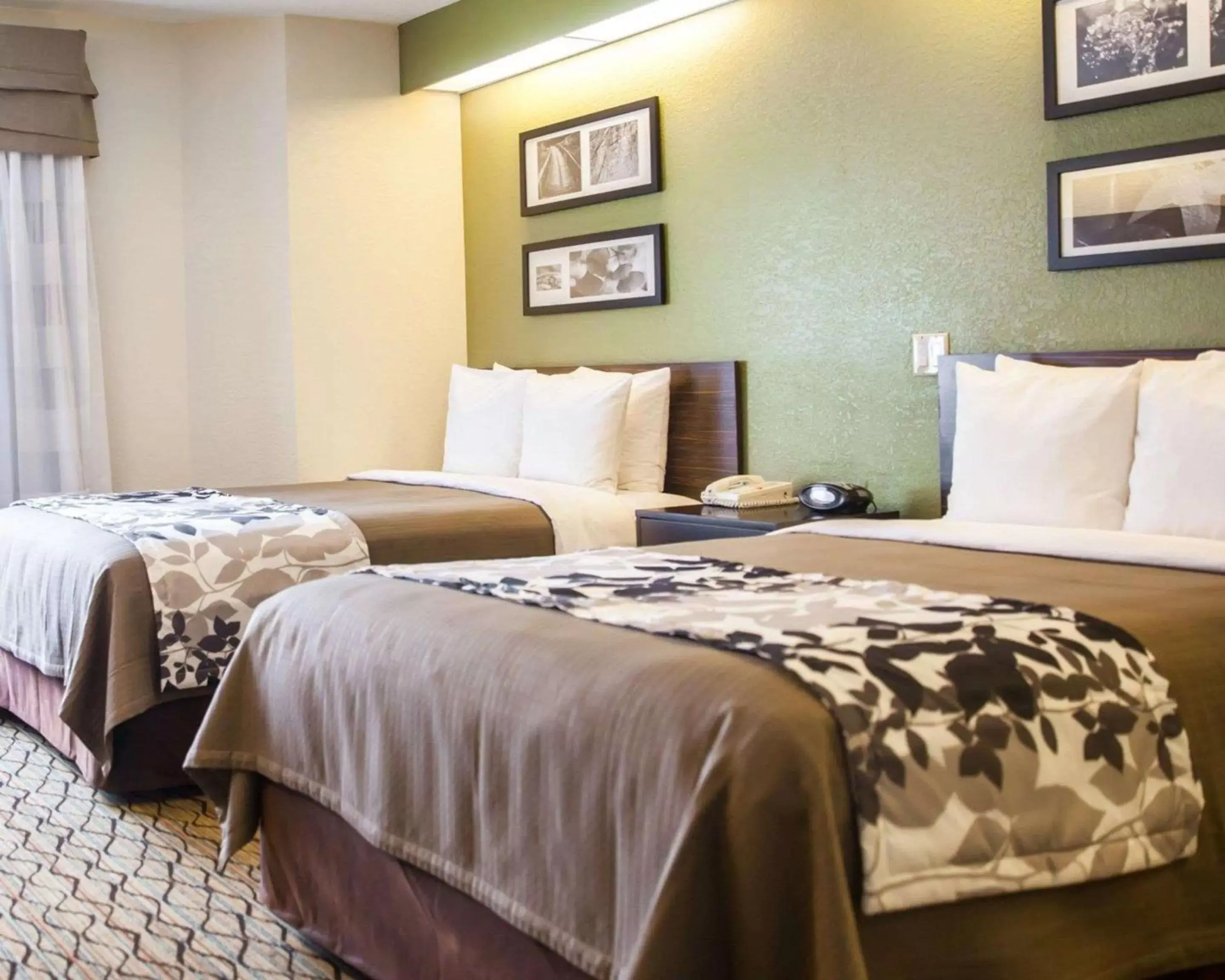 Photo of the whole room, Bed in Sleep Inn Rockville Photo of the whole room, Bed in Sleep Inn Rockville