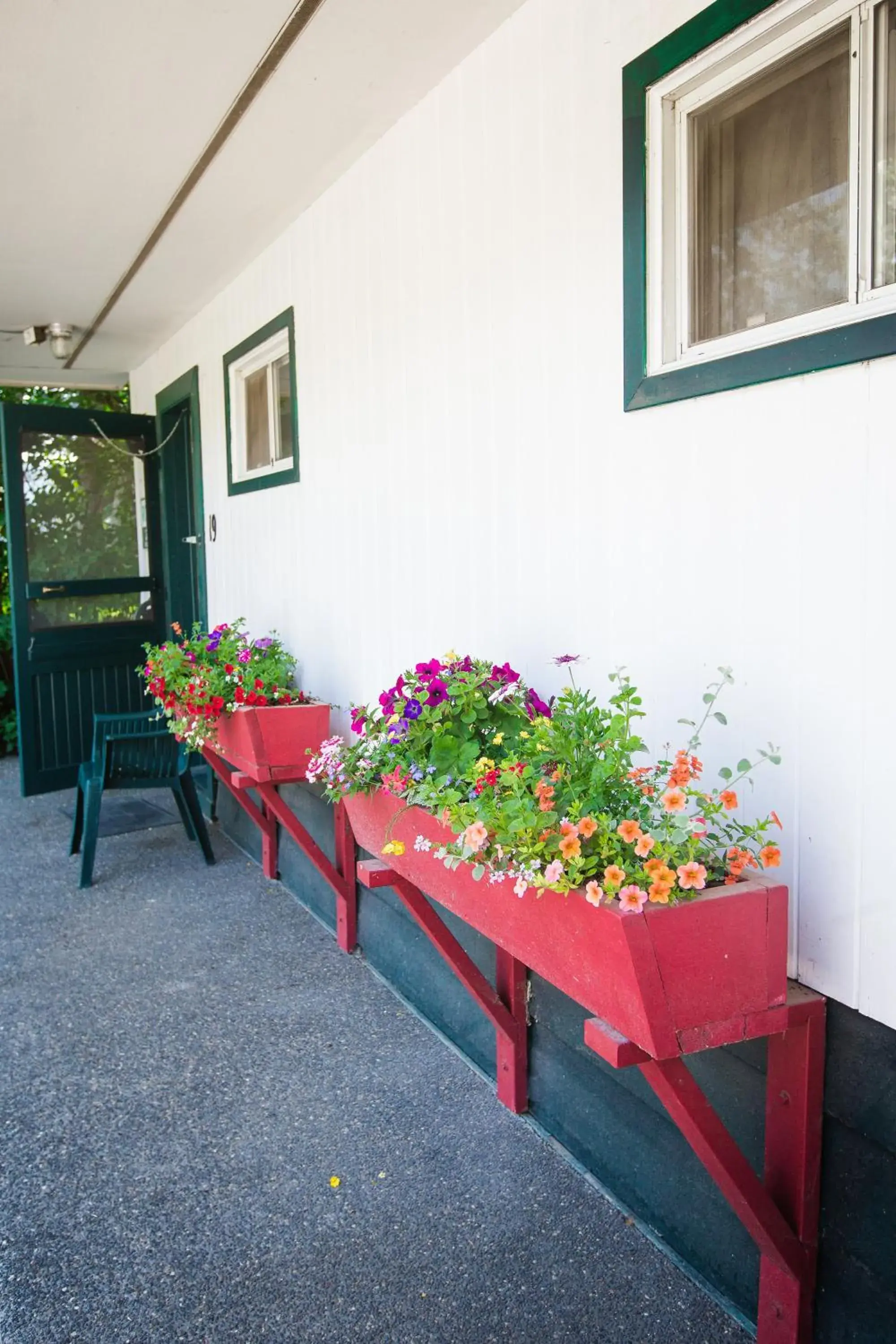 Natural landscape in Lakeside Motel