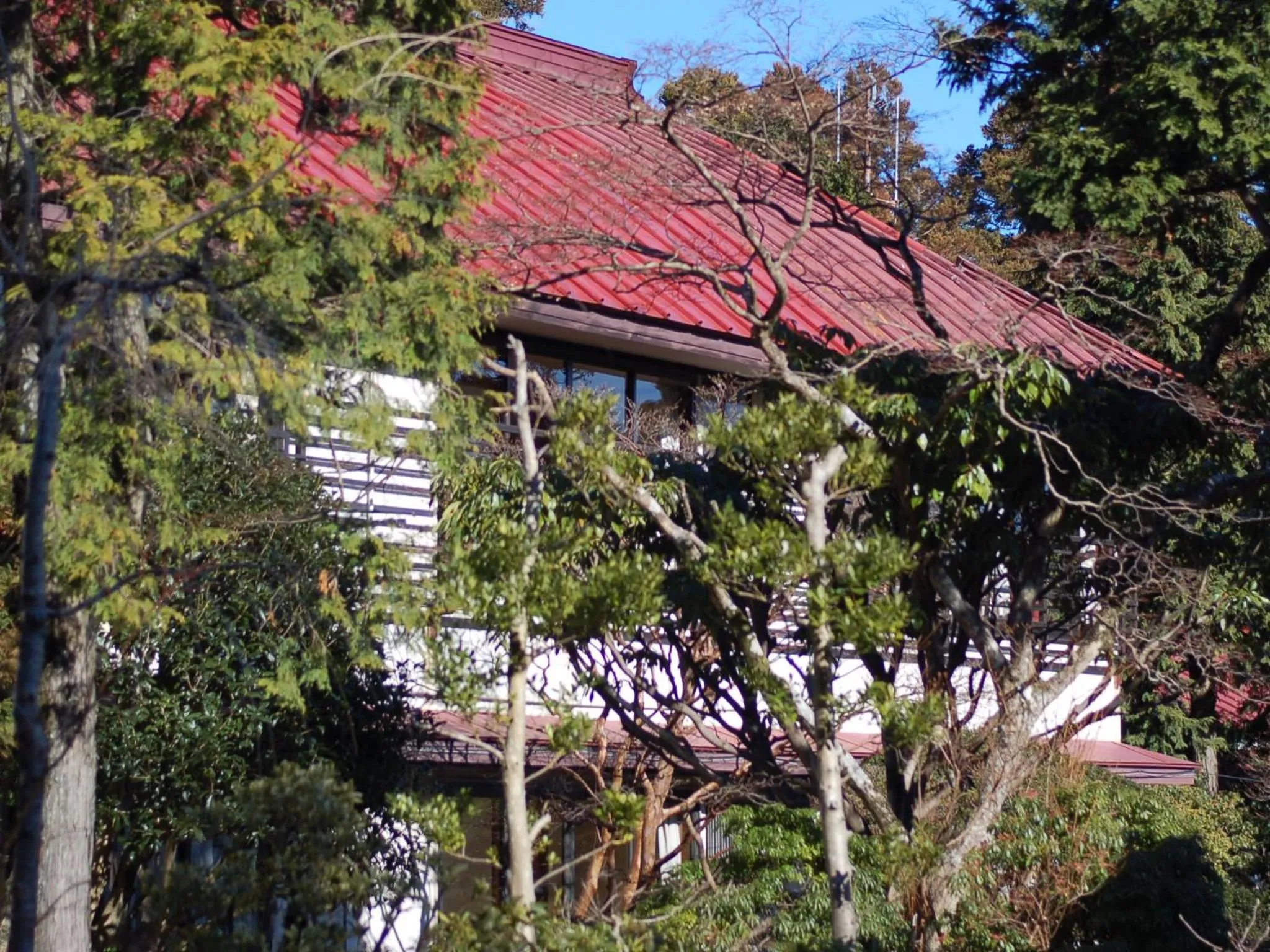 Garden in Kinokuniya Ryokan