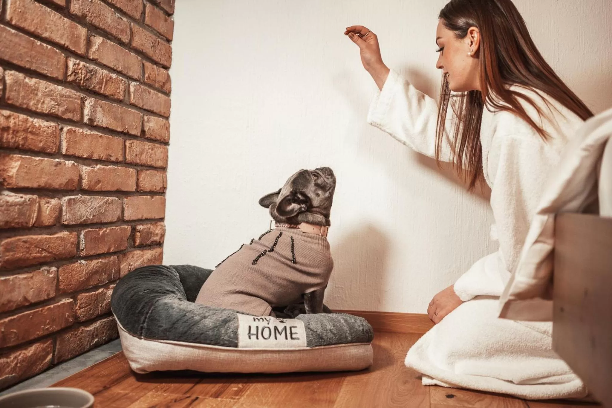 Animals, Guests in Gentry11 Rooms&More