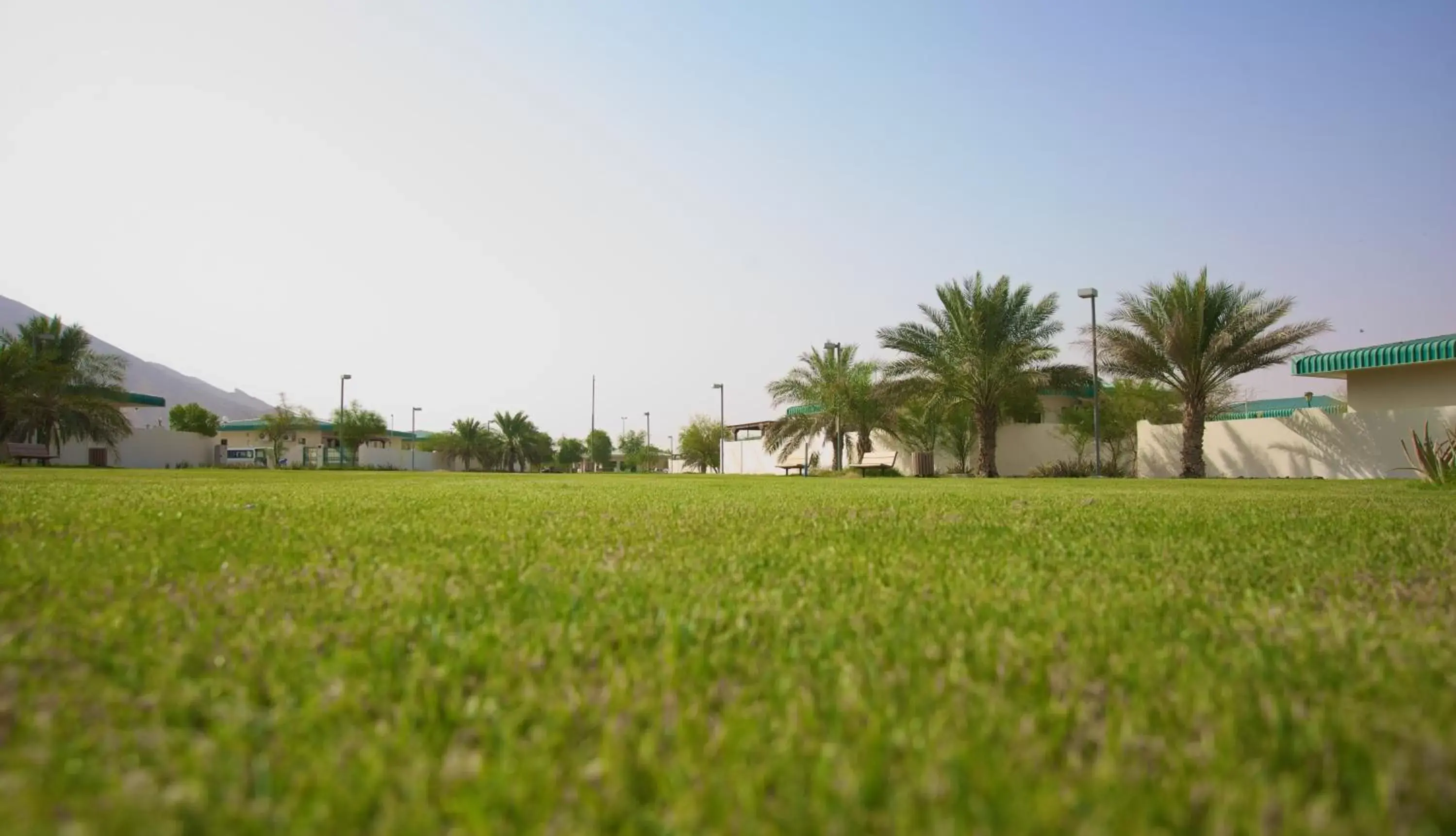 Day, Garden in Green Mubazzarah Chalets