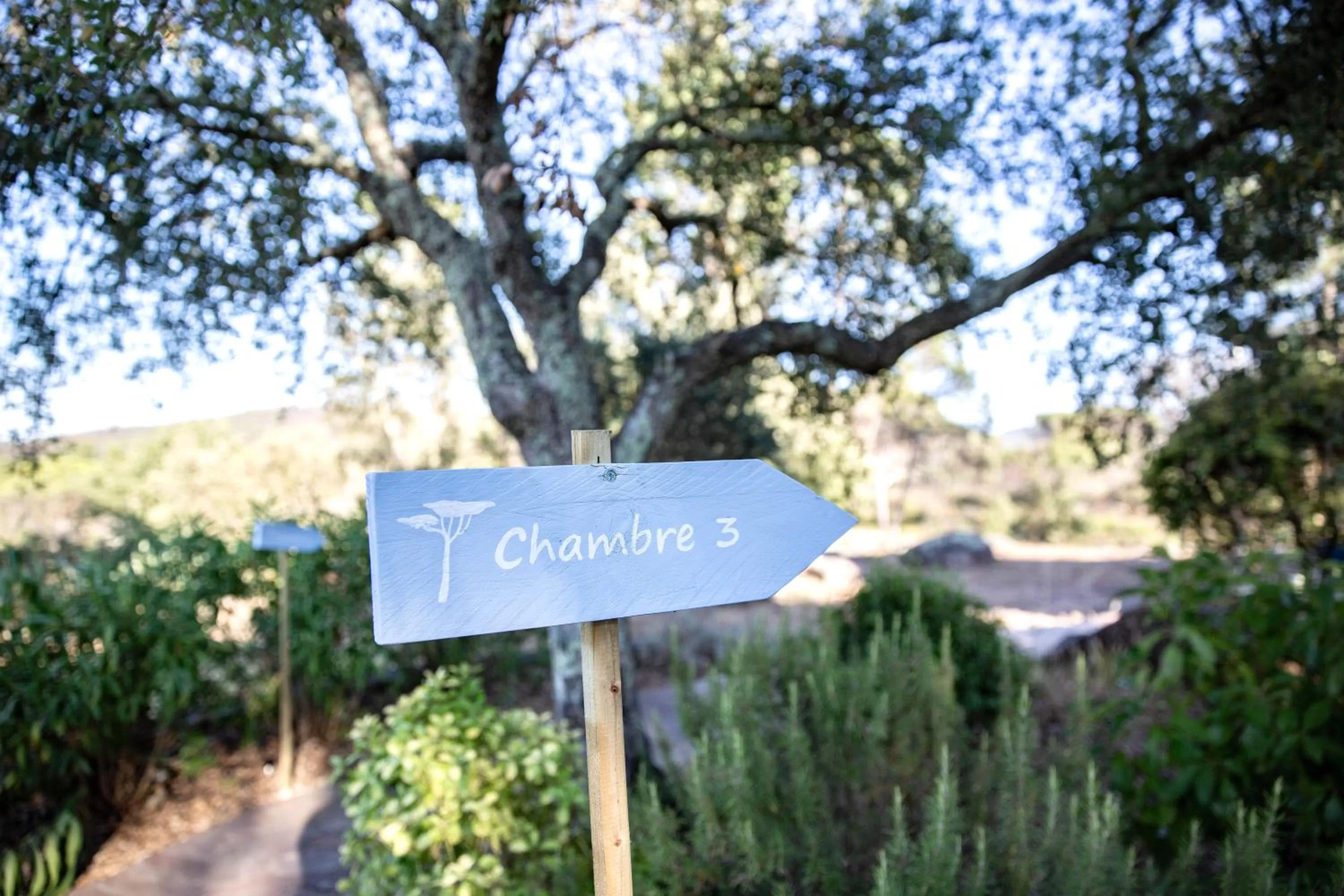 Garden in Le Mas du Rouquan