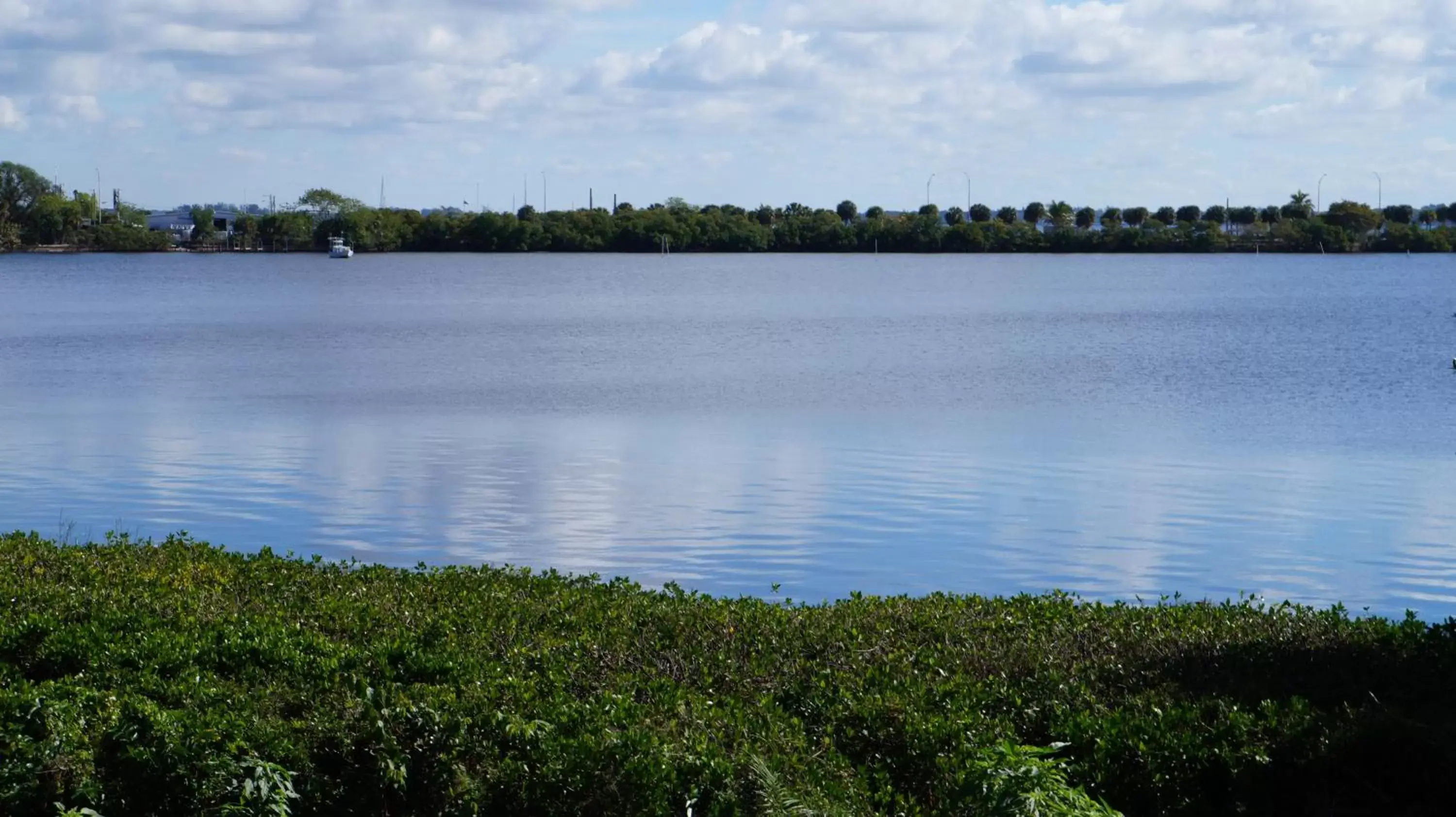 Natural landscape in Riverview Inn