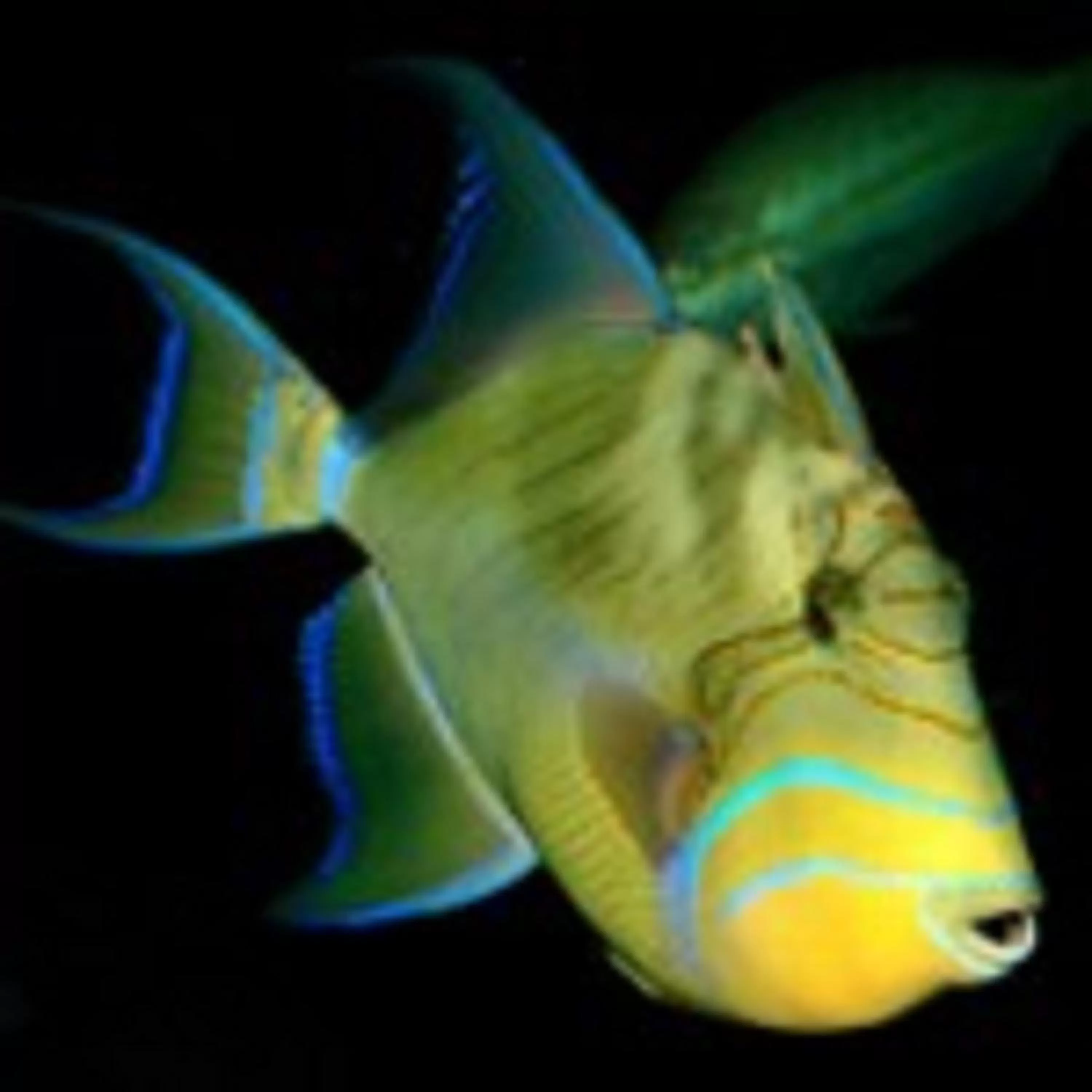 Nearby landmark in Holiday Inn Express & Suites - Morehead City by IHG