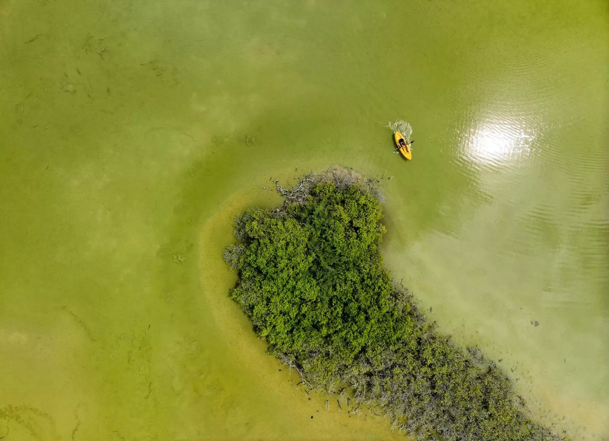 Activities, Bird's-eye View in Canareef Resort Maldives