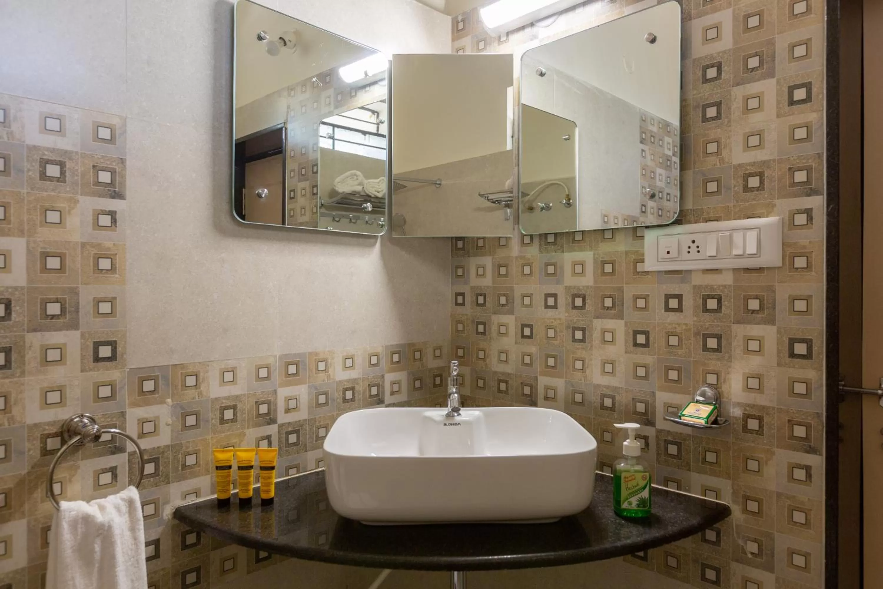 KSTDC Hotel Mayura Vijayanagara Hampi