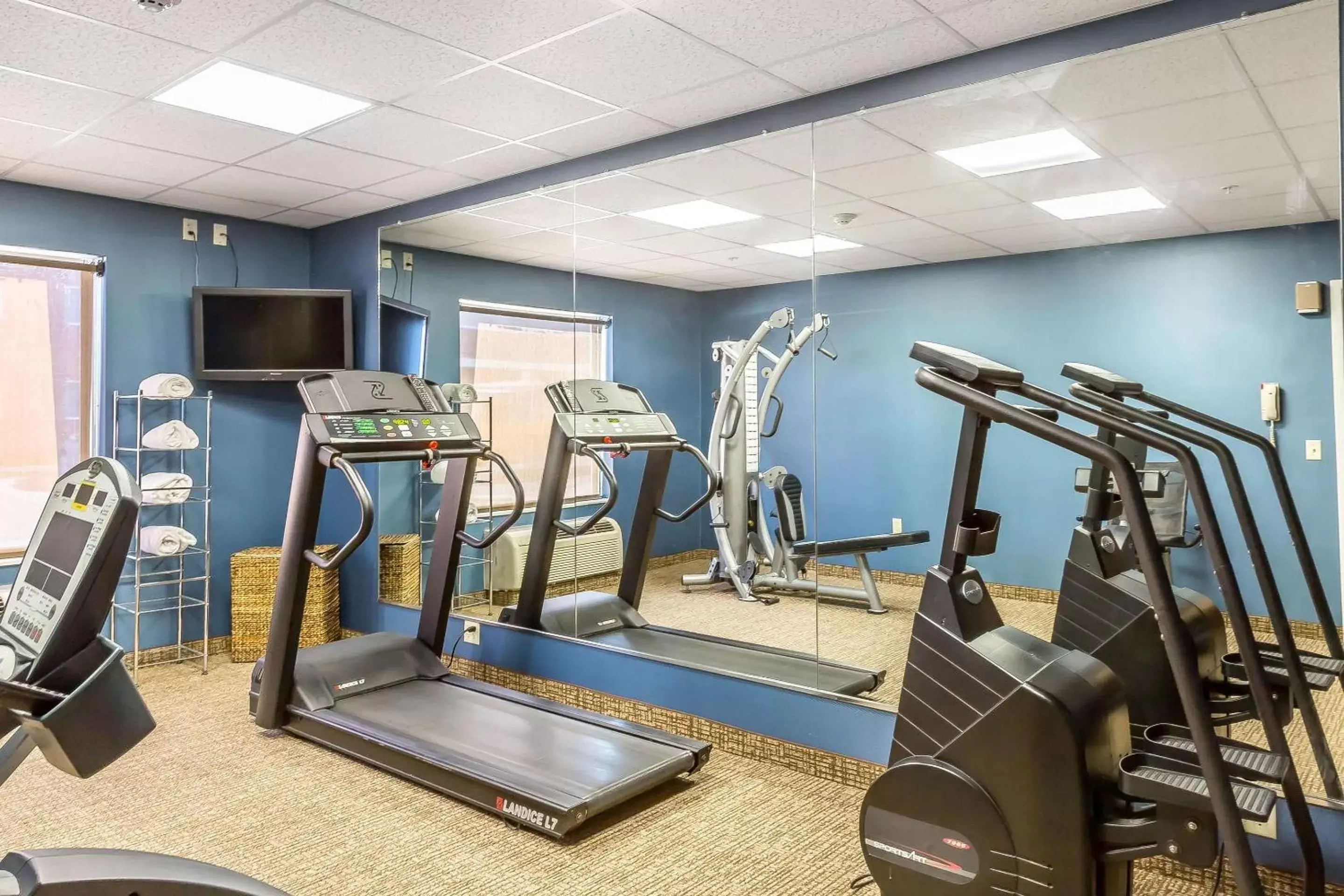 Fitness centre/facilities, Fitness Center/Facilities in Comfort Inn