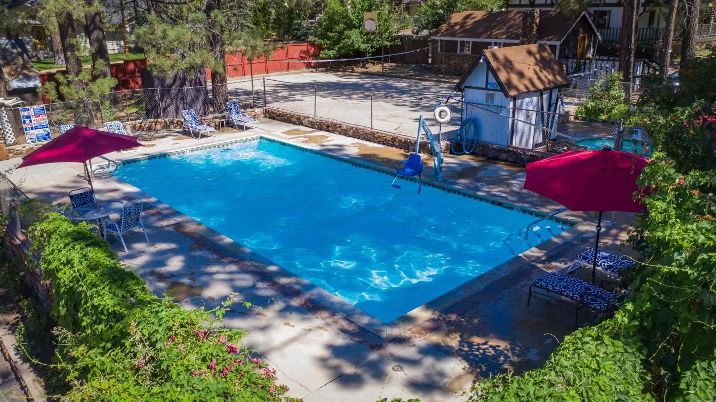 Swimming pool in Black Forest Lodge Swimming pool in Black Forest Lodge