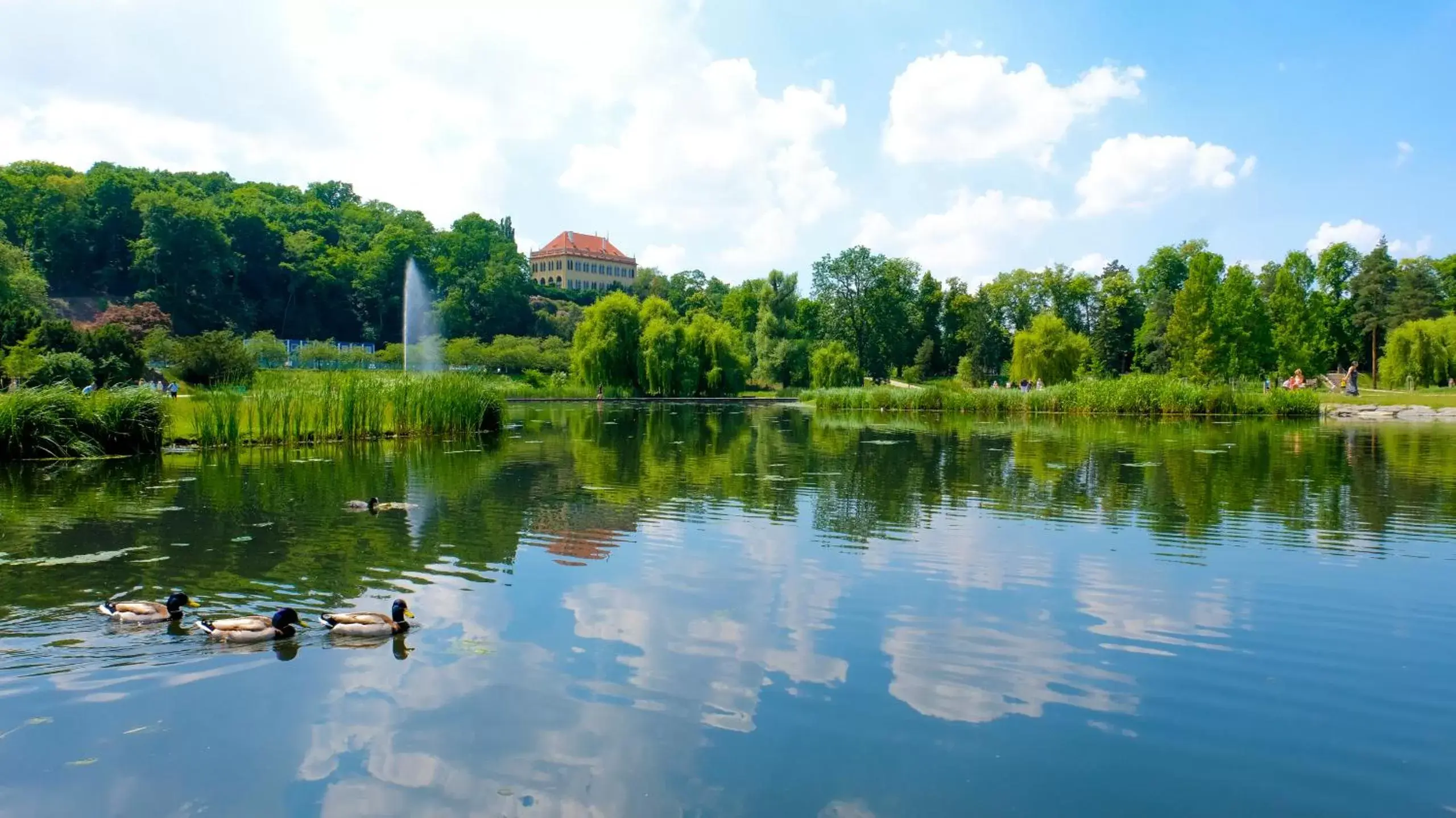 Natural landscape in Hotel Schwaiger