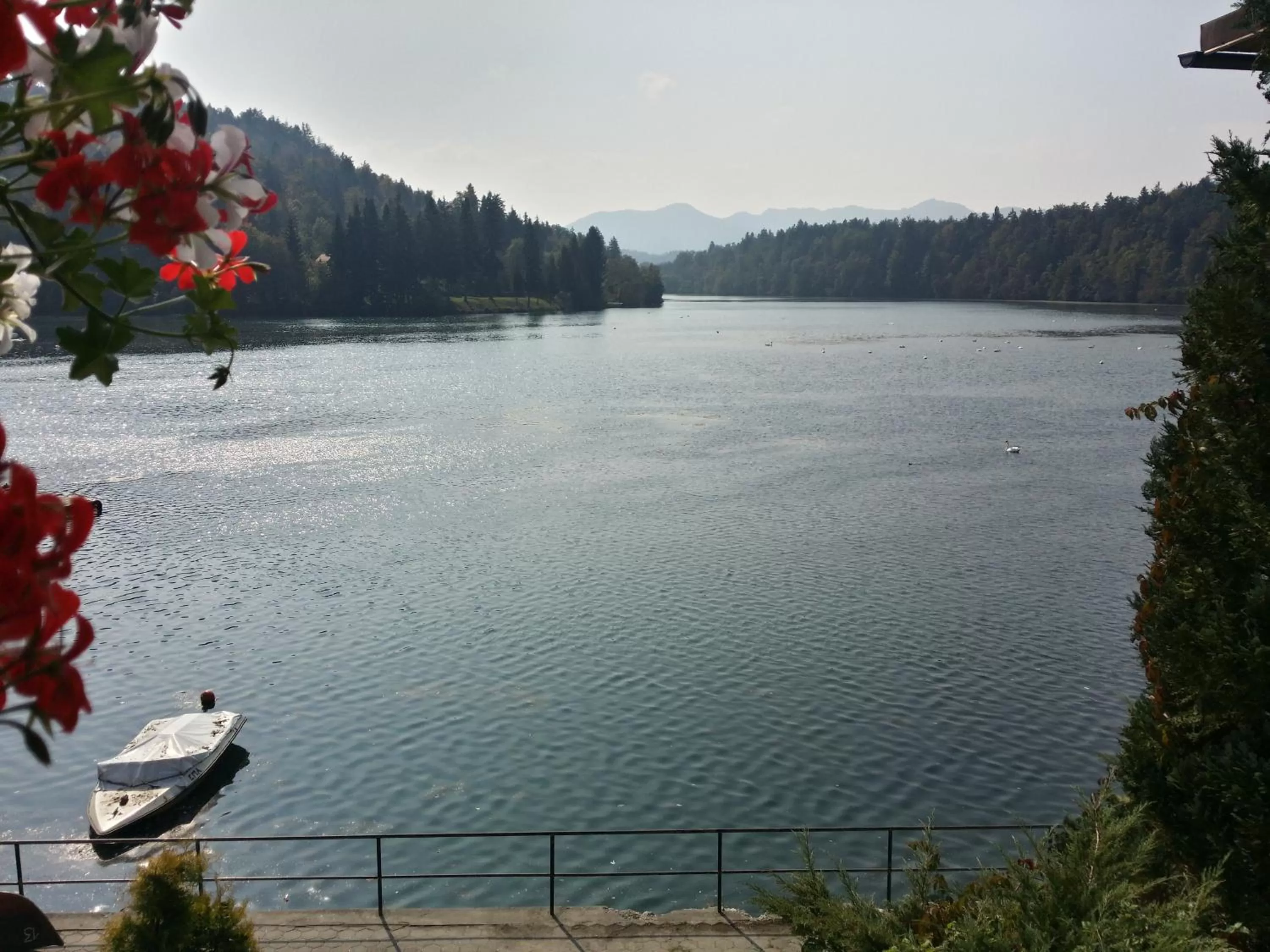 On site in Gostisce Jezero