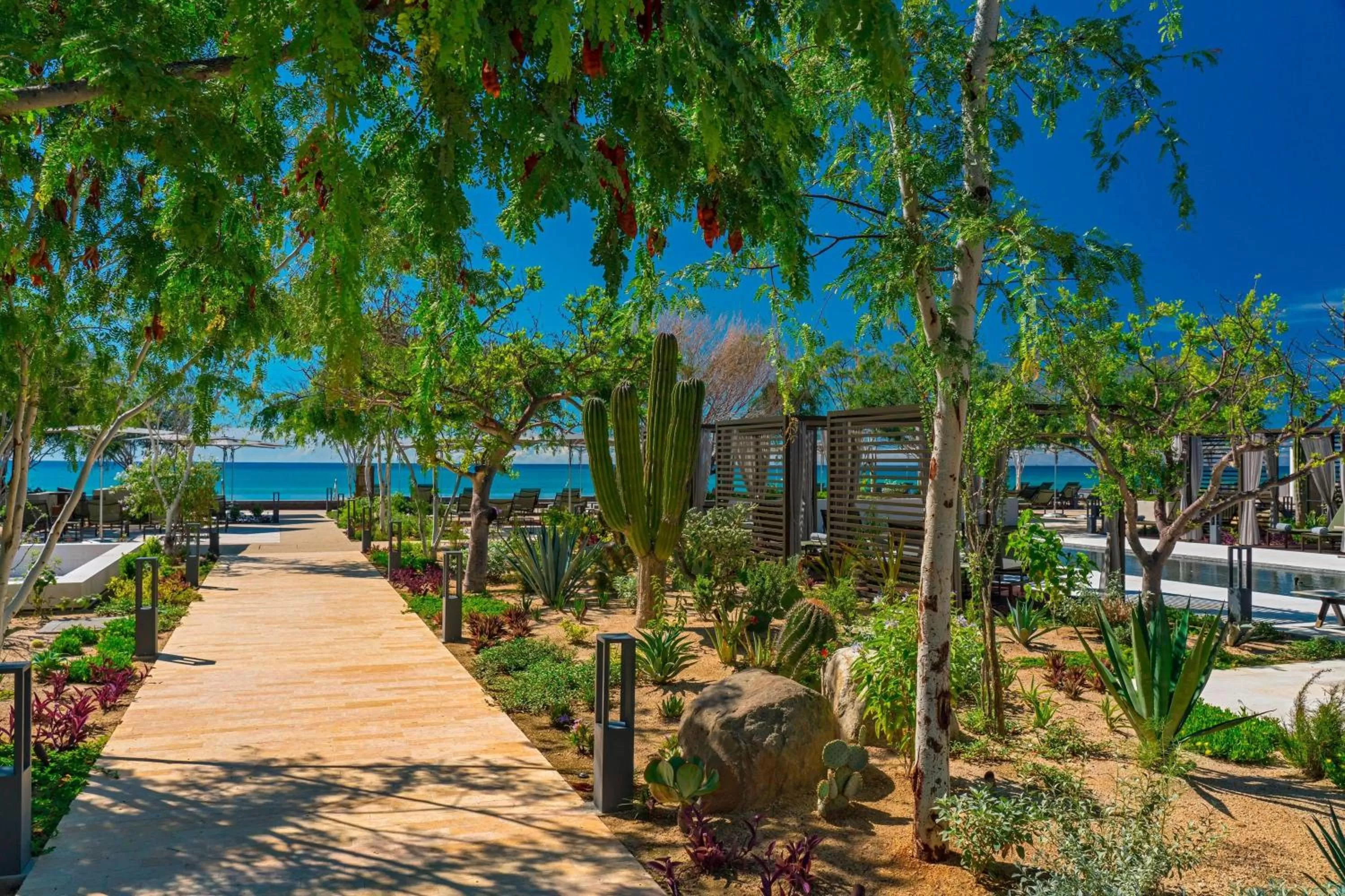 View (from property/room) in Solaz, a Luxury Collection Resort, Los Cabos