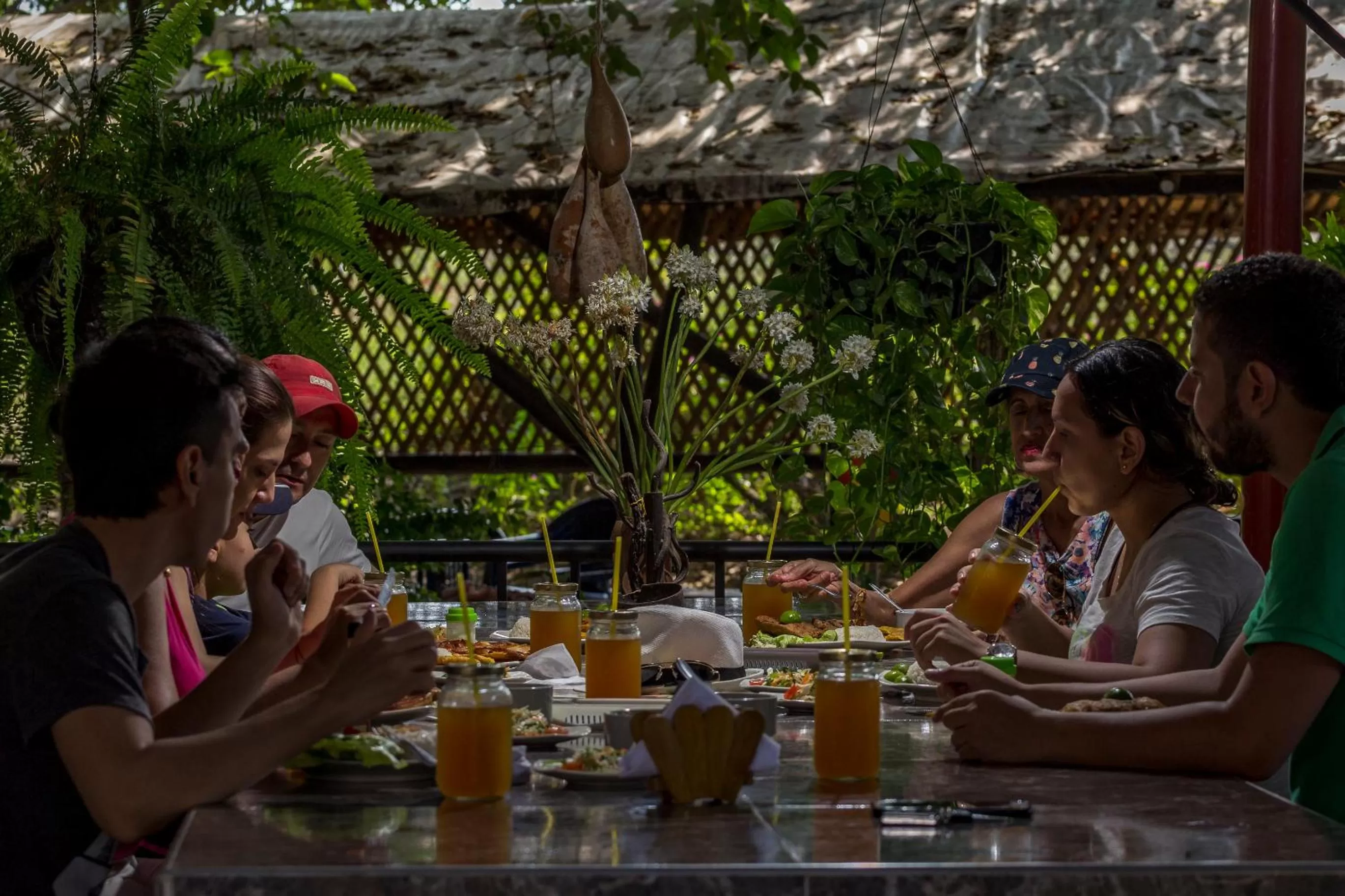 Restaurant/places to eat, Guests in El Peñon De Constantino - Tatacoa