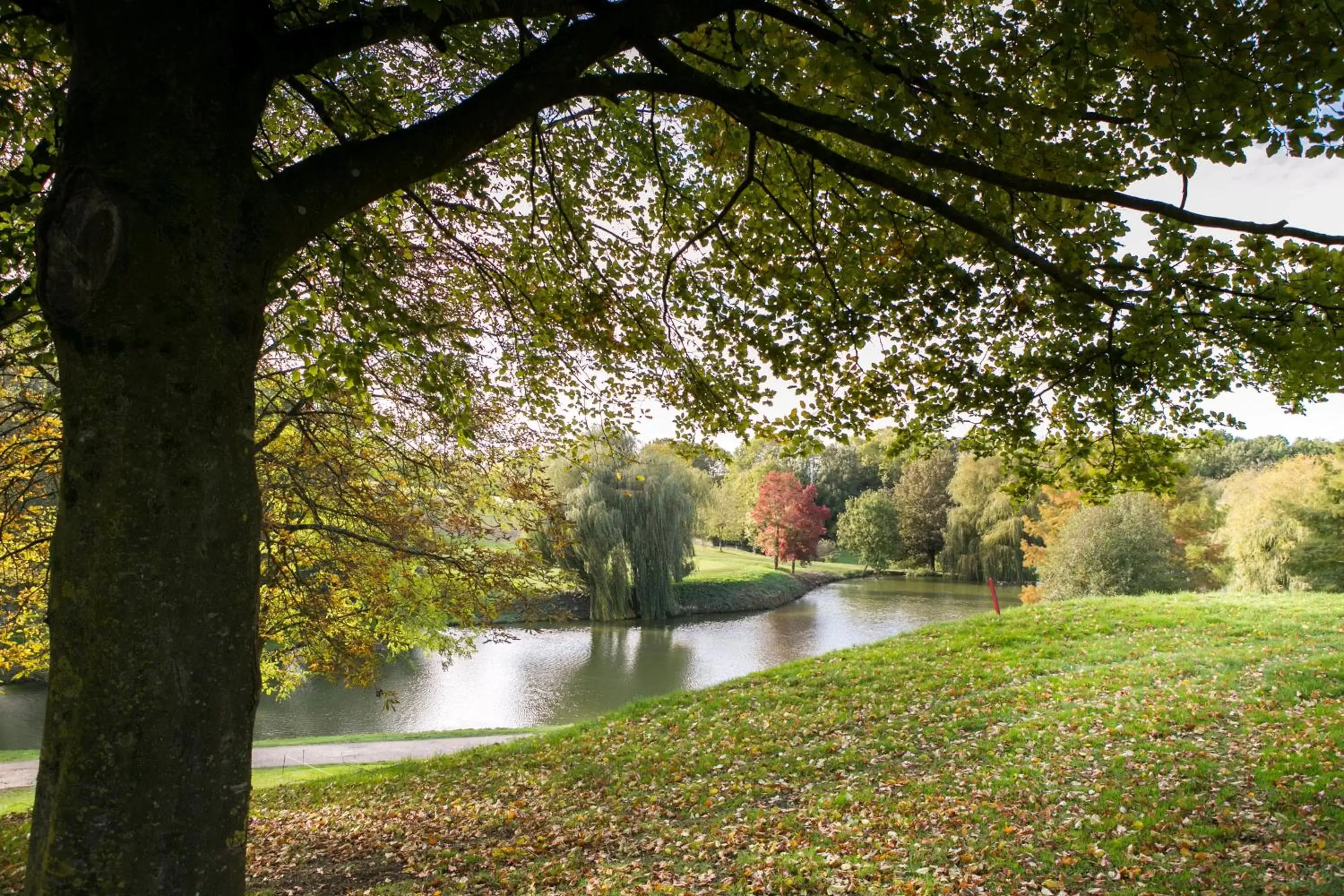 Natural landscape in Hôtel Résidence Normandy Country Club by Popinns