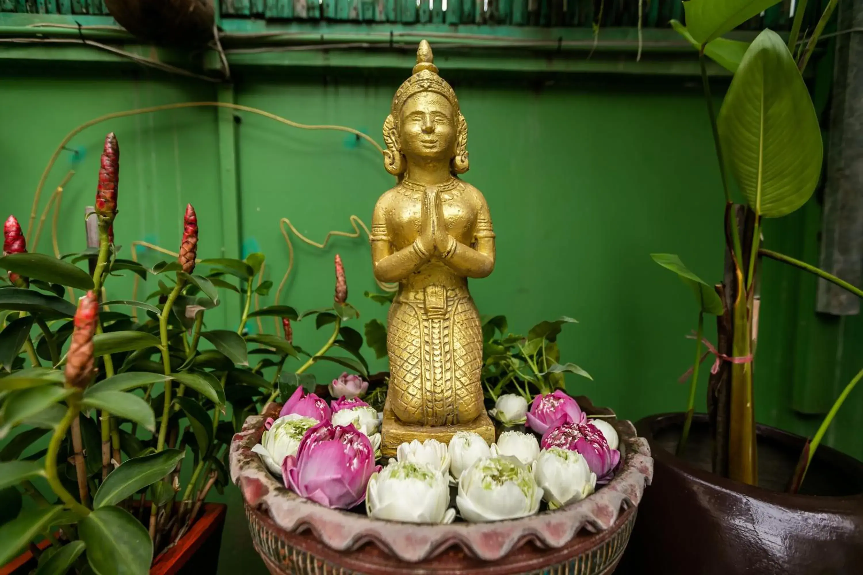 Garden, Food in Asanak D'Angkor Boutique Hotel