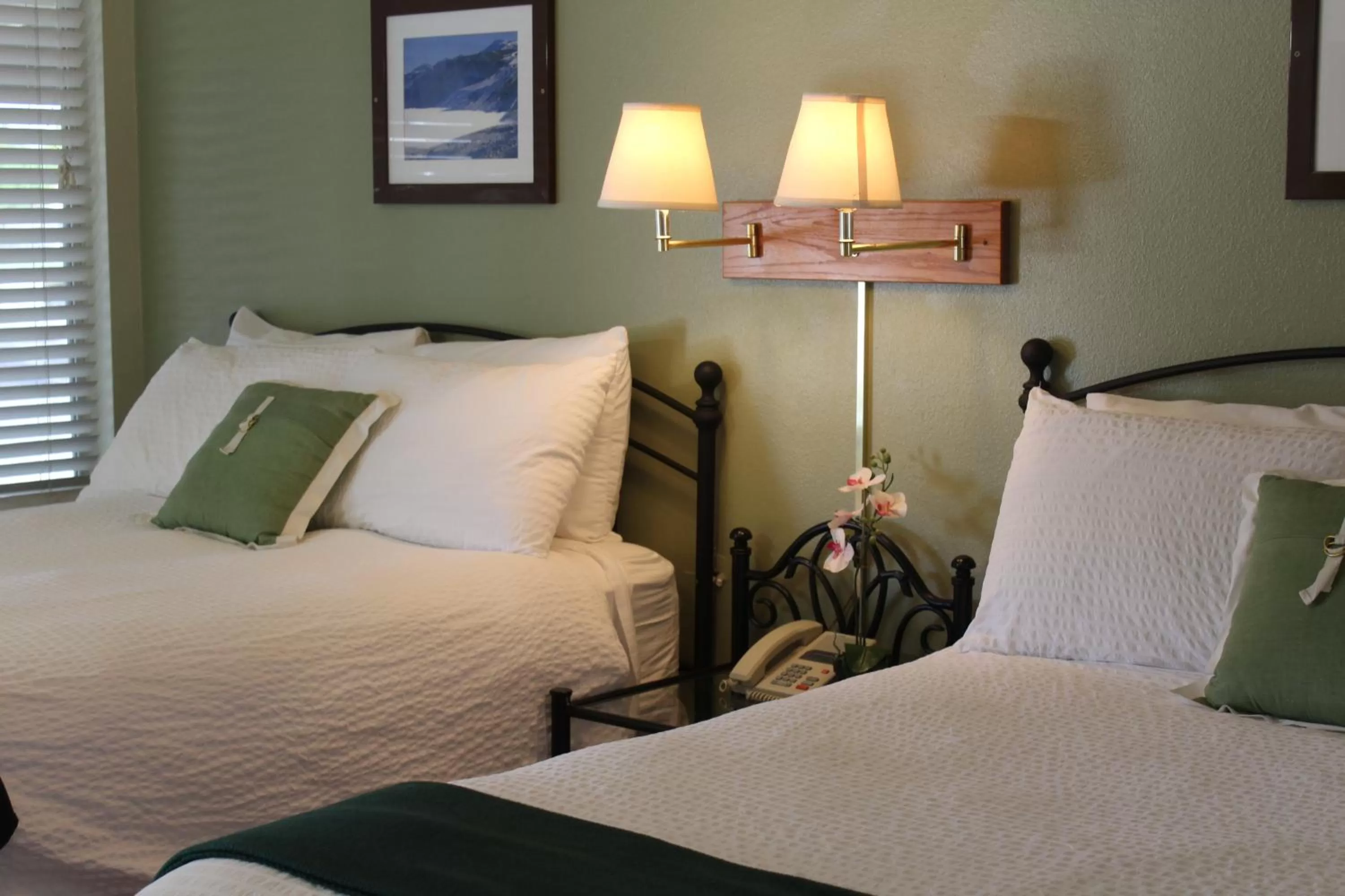 Property building in Trees Motel