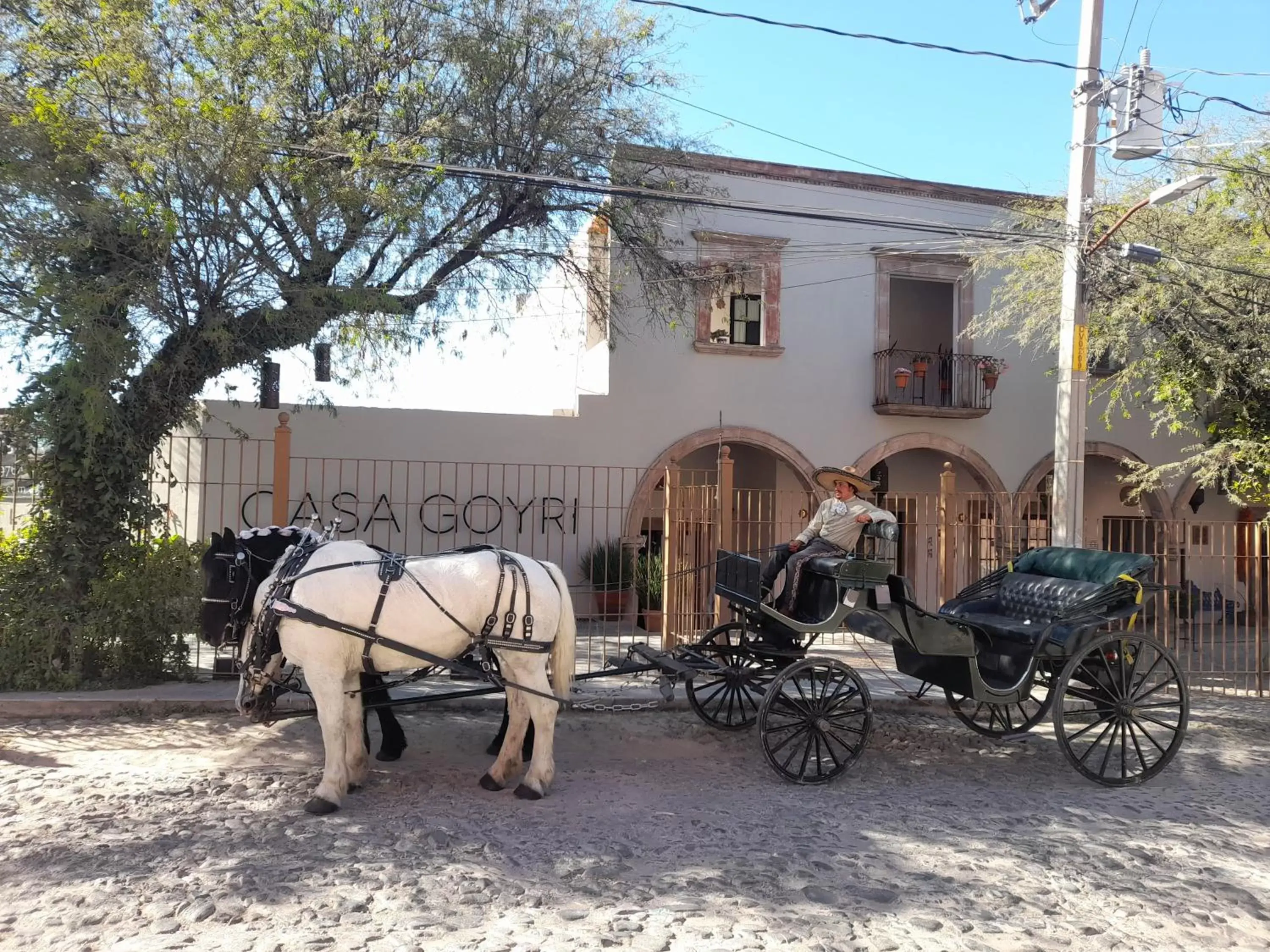 People, Property Building in Casa Goyri San Miguel de Allende