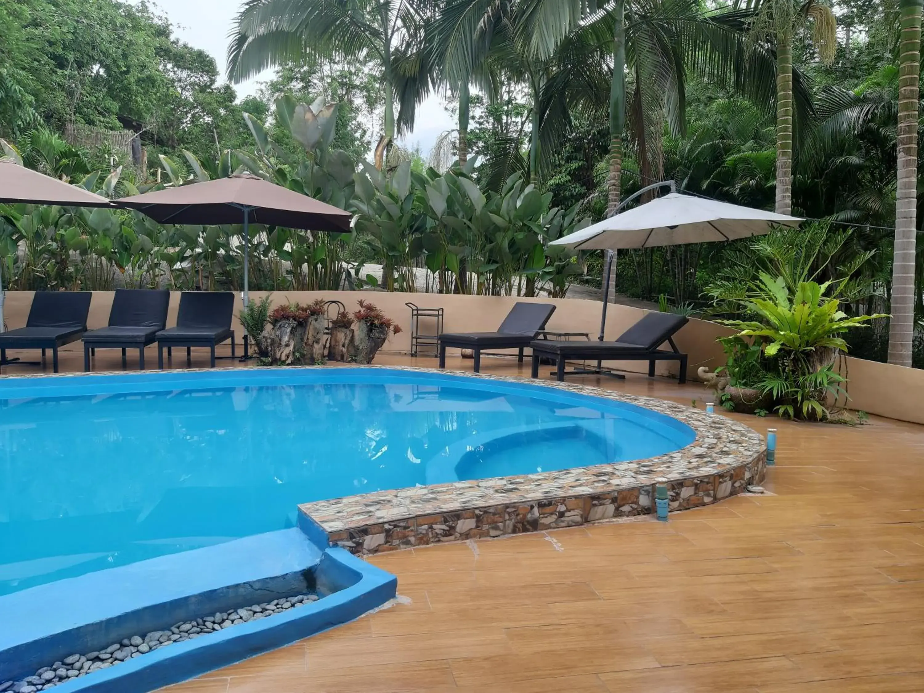 Swimming Pool in Chang Pai Resort