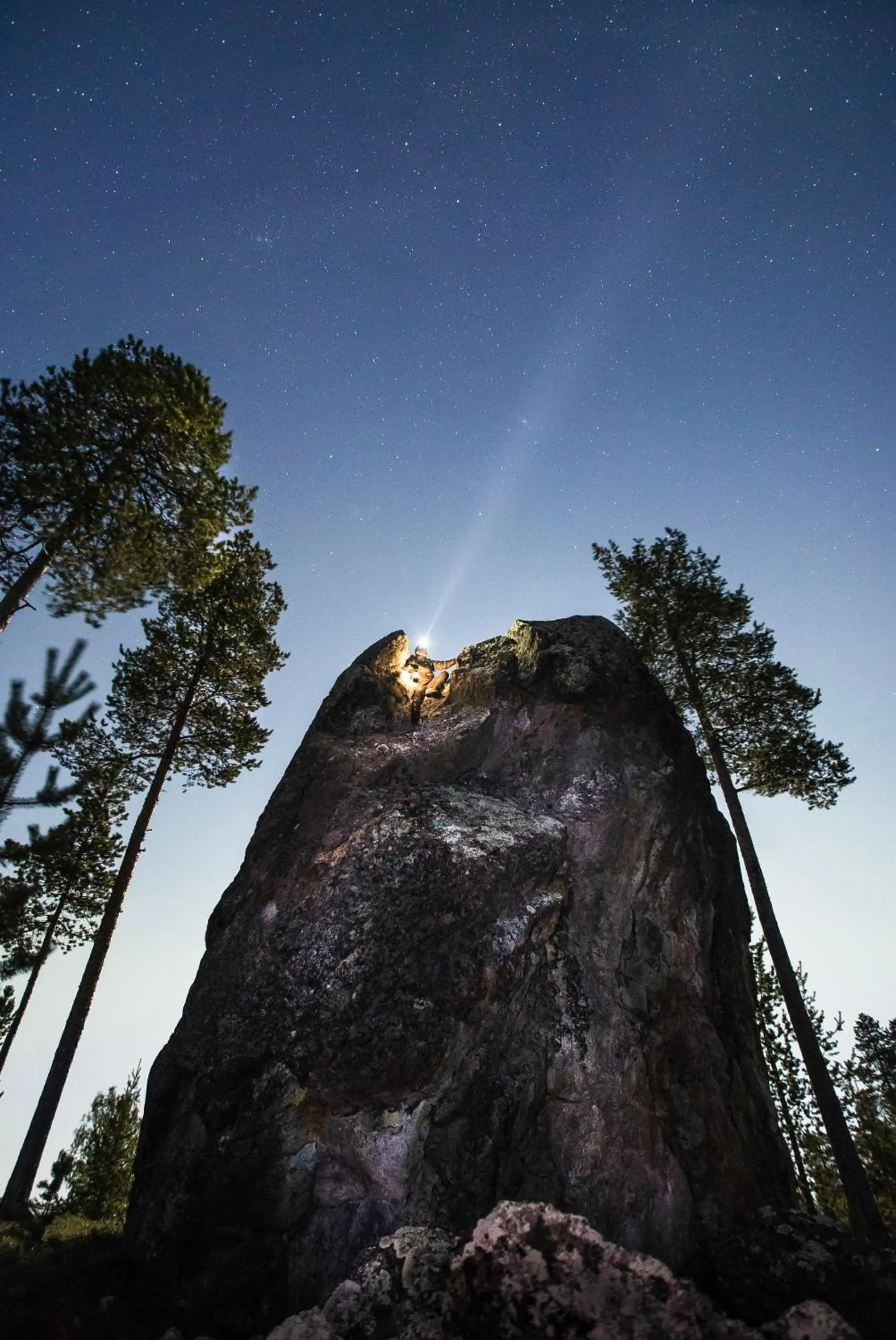 Natural landscape in Aurora Village Ivalo