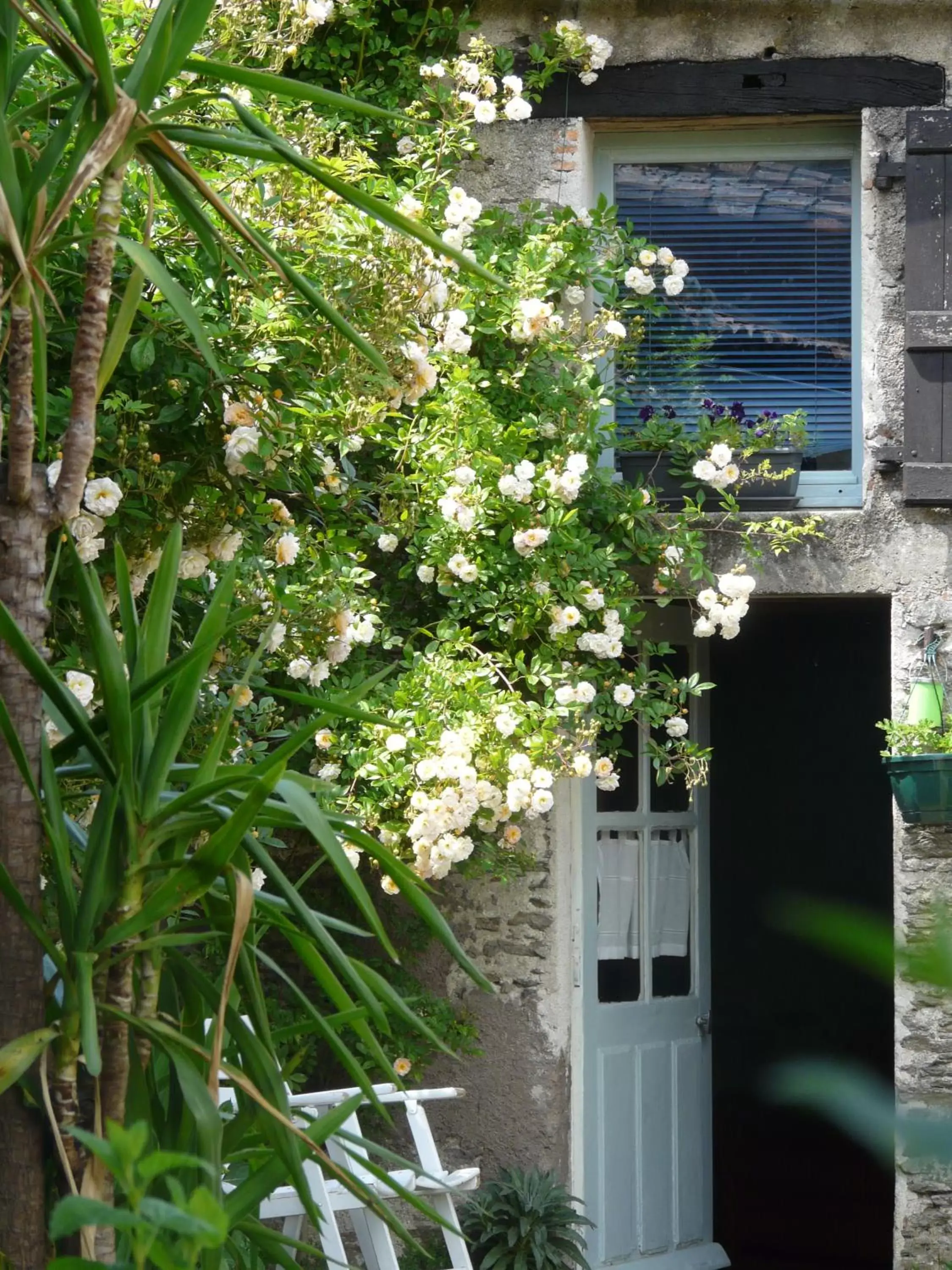 Facade/entrance in Topaze